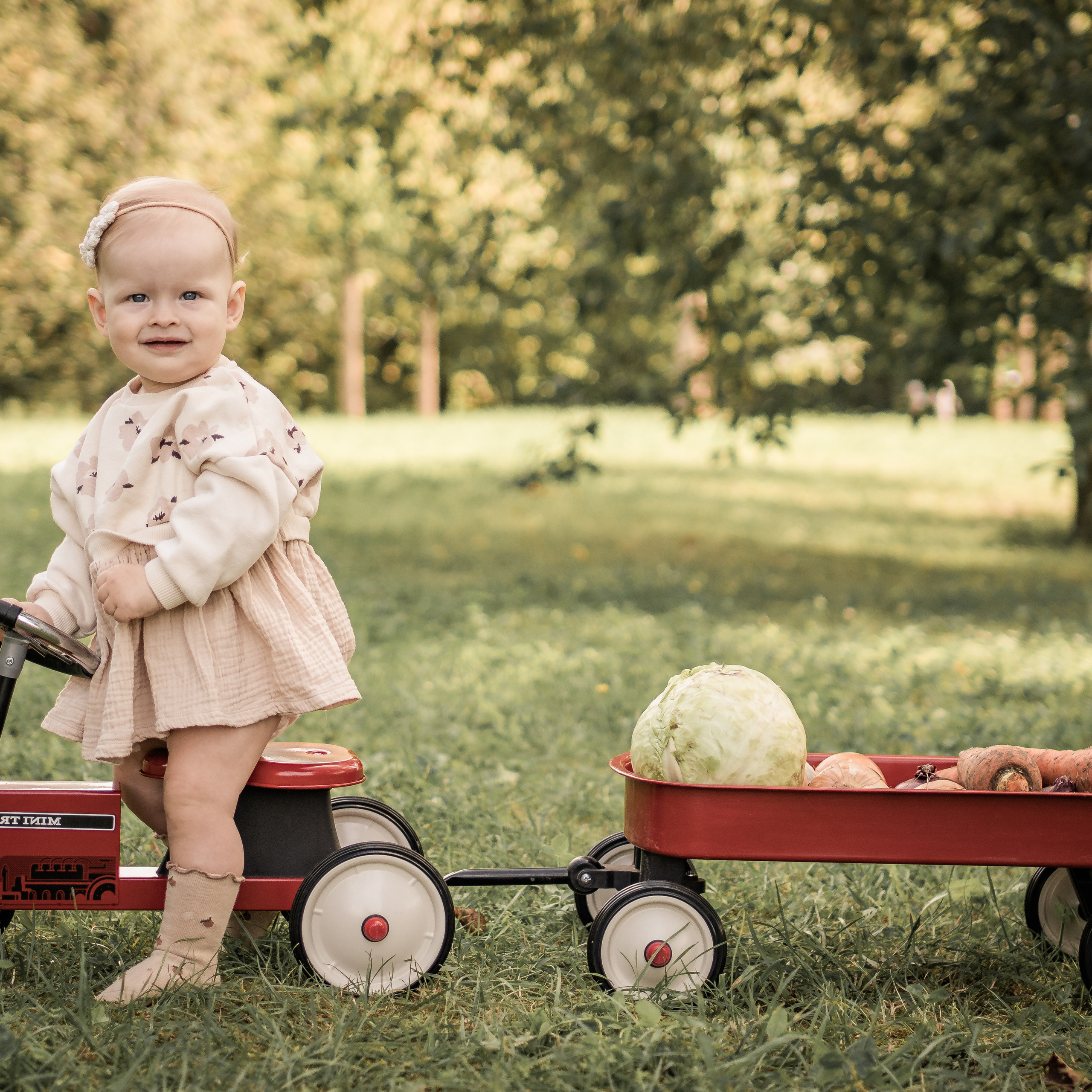 Отзывы о фотографе Ефремова Виктория. Семейный фотограф Ефремова Виктория