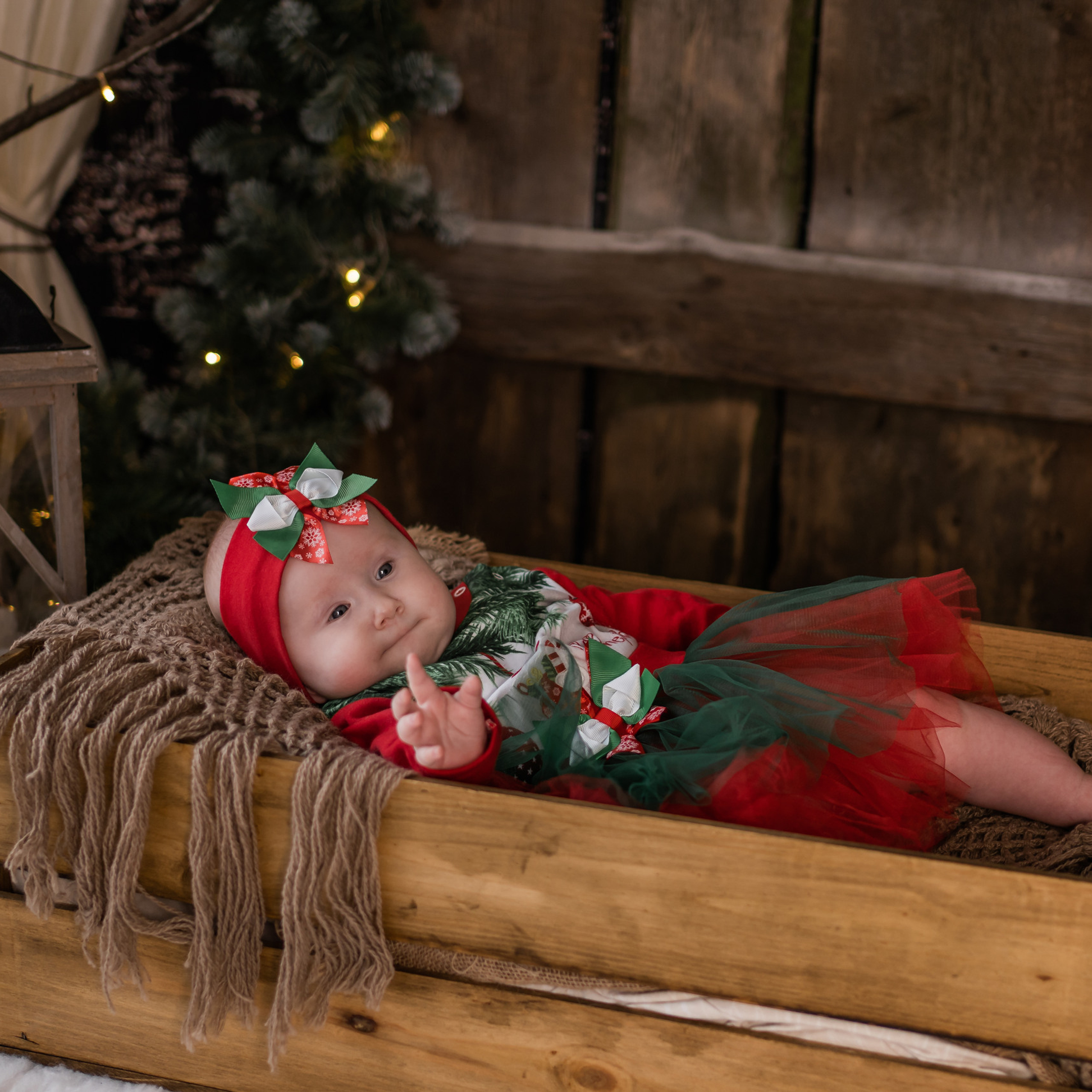 Отзывы о фотографе Ефремова Виктория. Семейный фотограф Ефремова Виктория