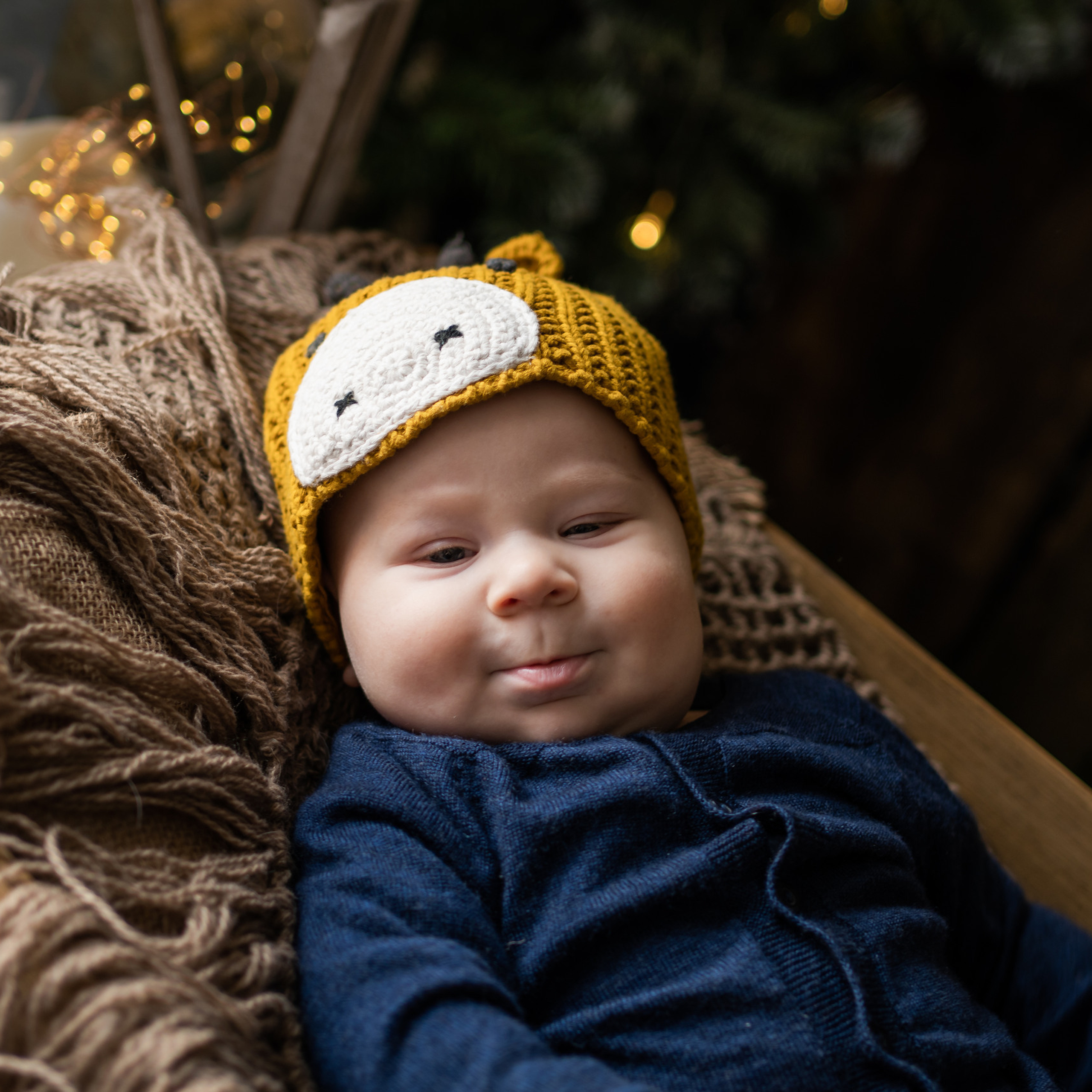 Отзывы о фотографе Ефремова Виктория. Семейный фотограф Ефремова Виктория