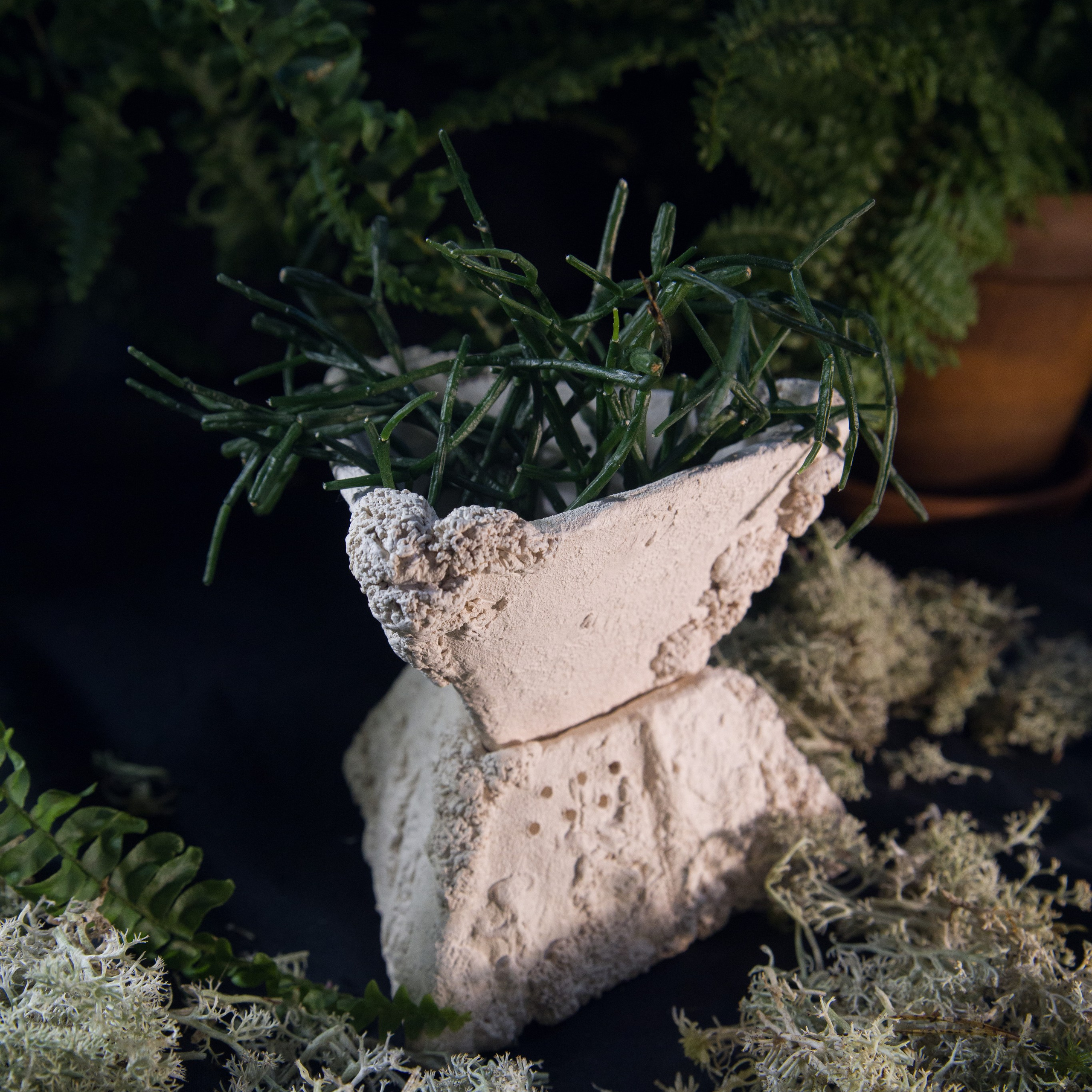 «Источник» НЕТ В НАЛИЧИИ