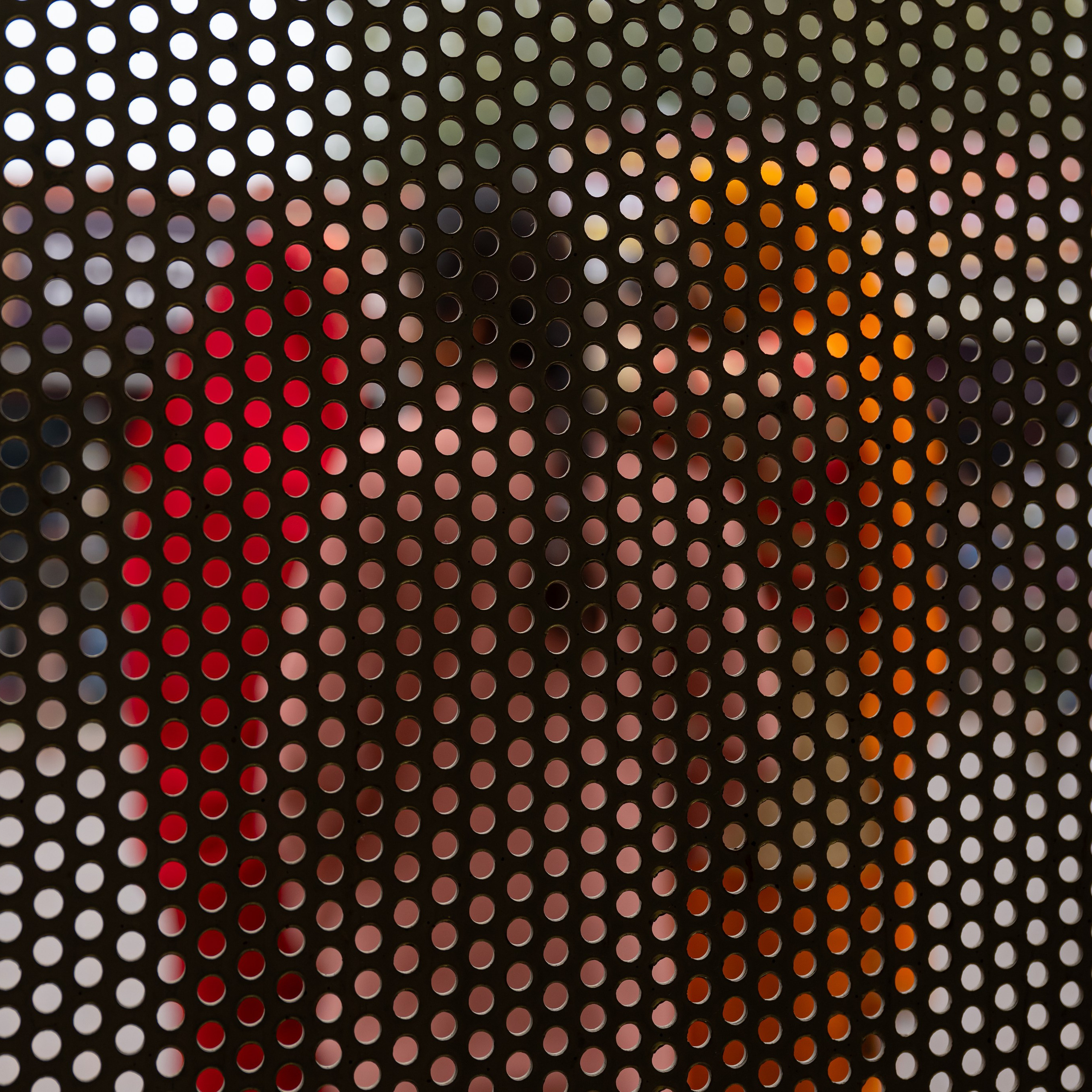 People of India, 2024-2025