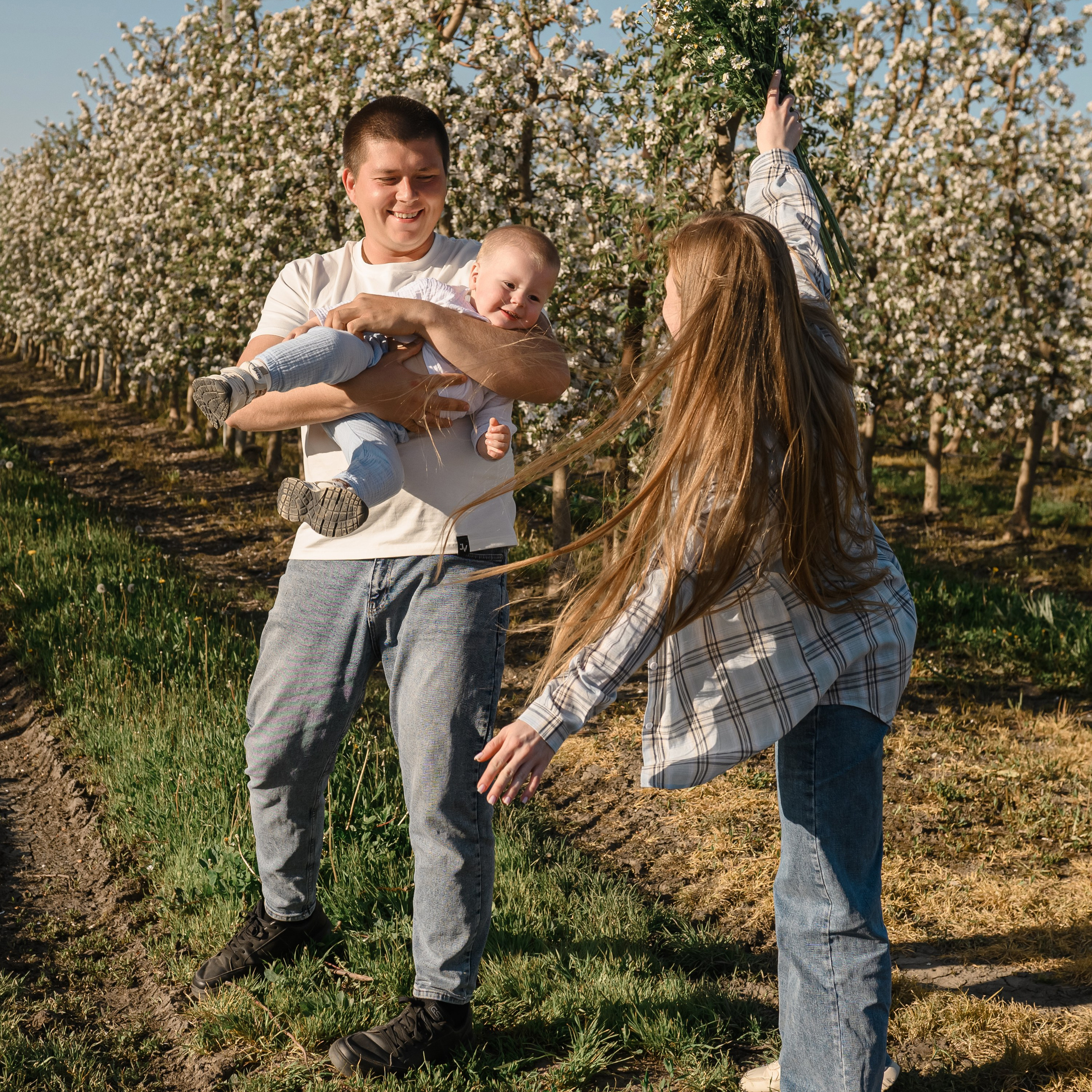 Яблоневый сад