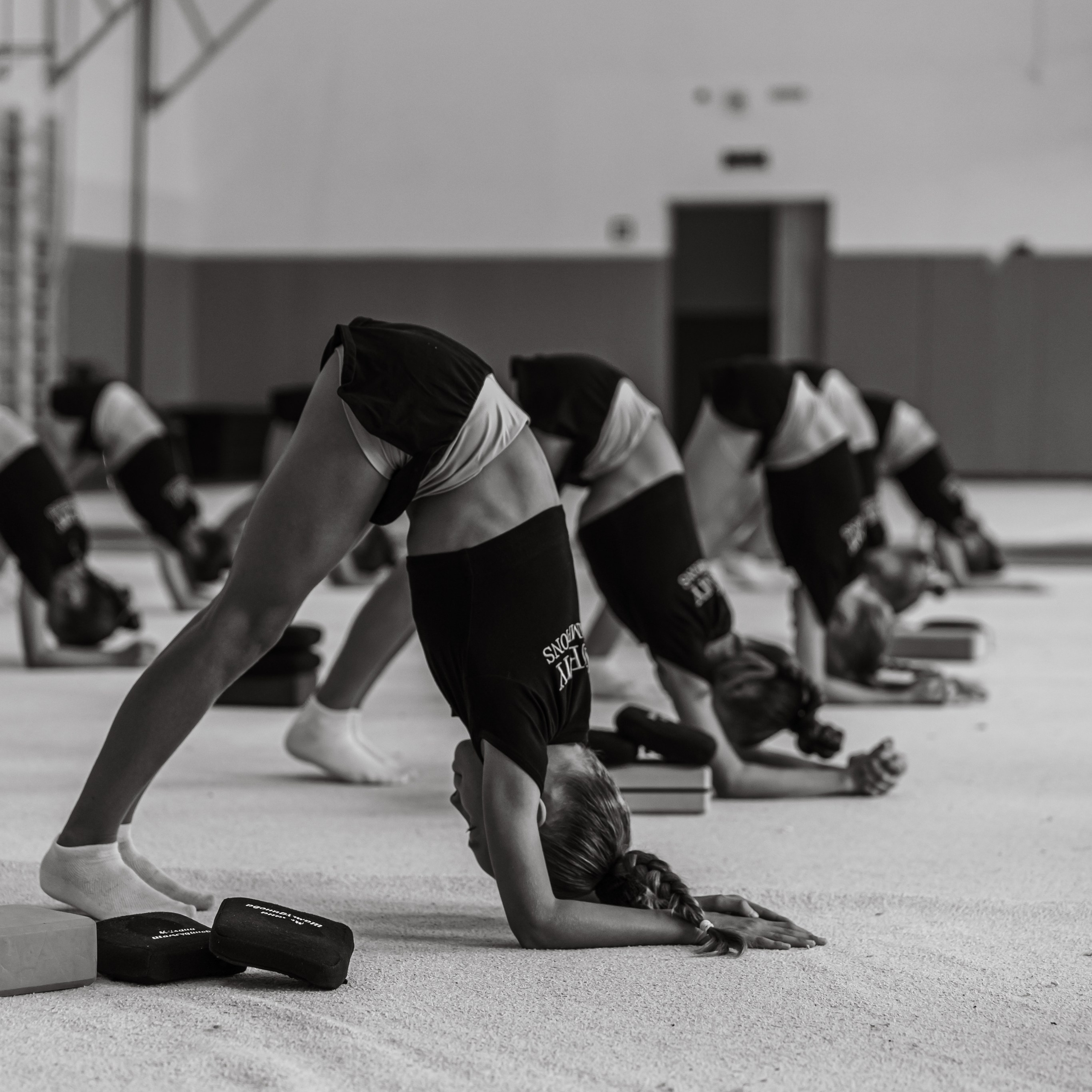 Академия Чемпионов