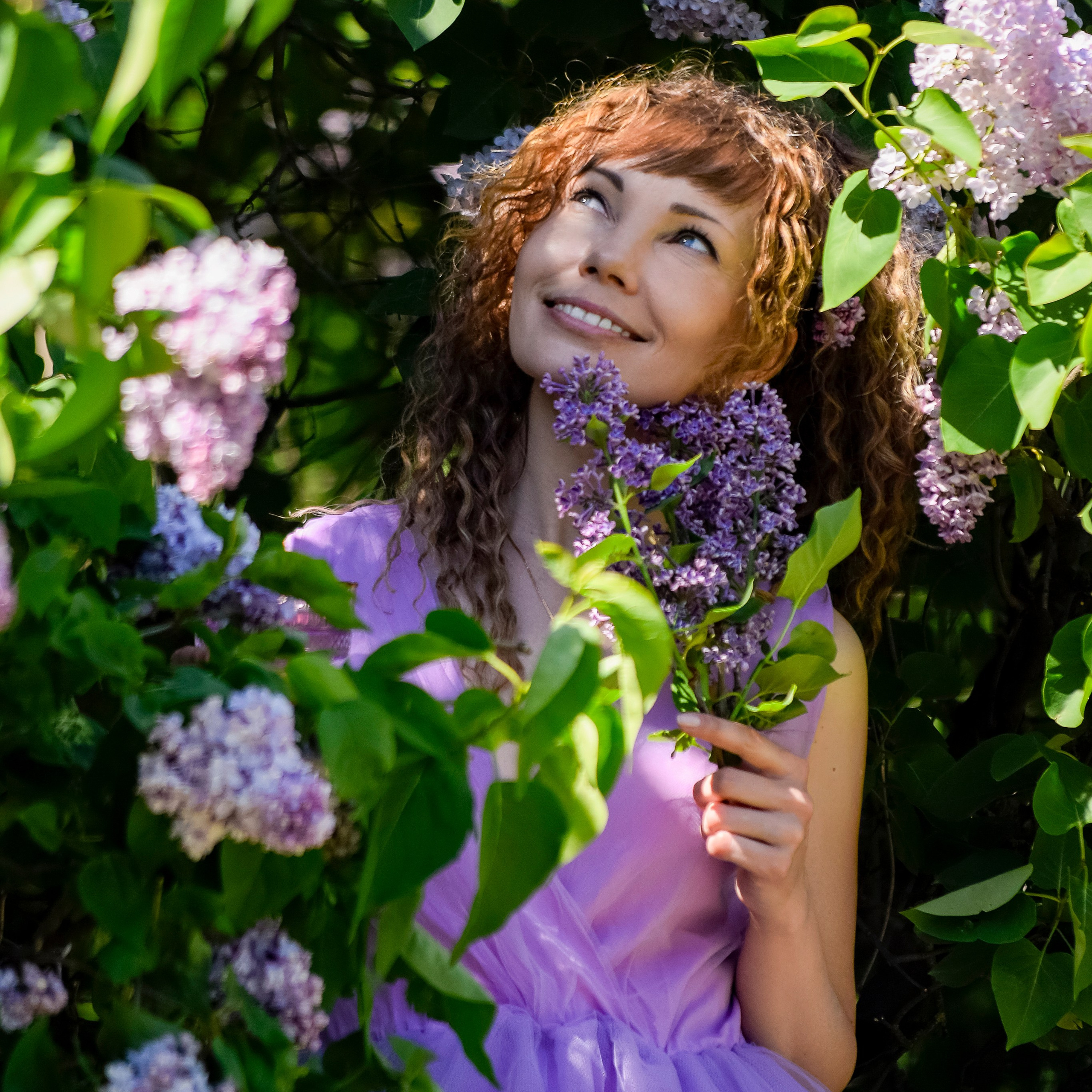 Сиреневый сад