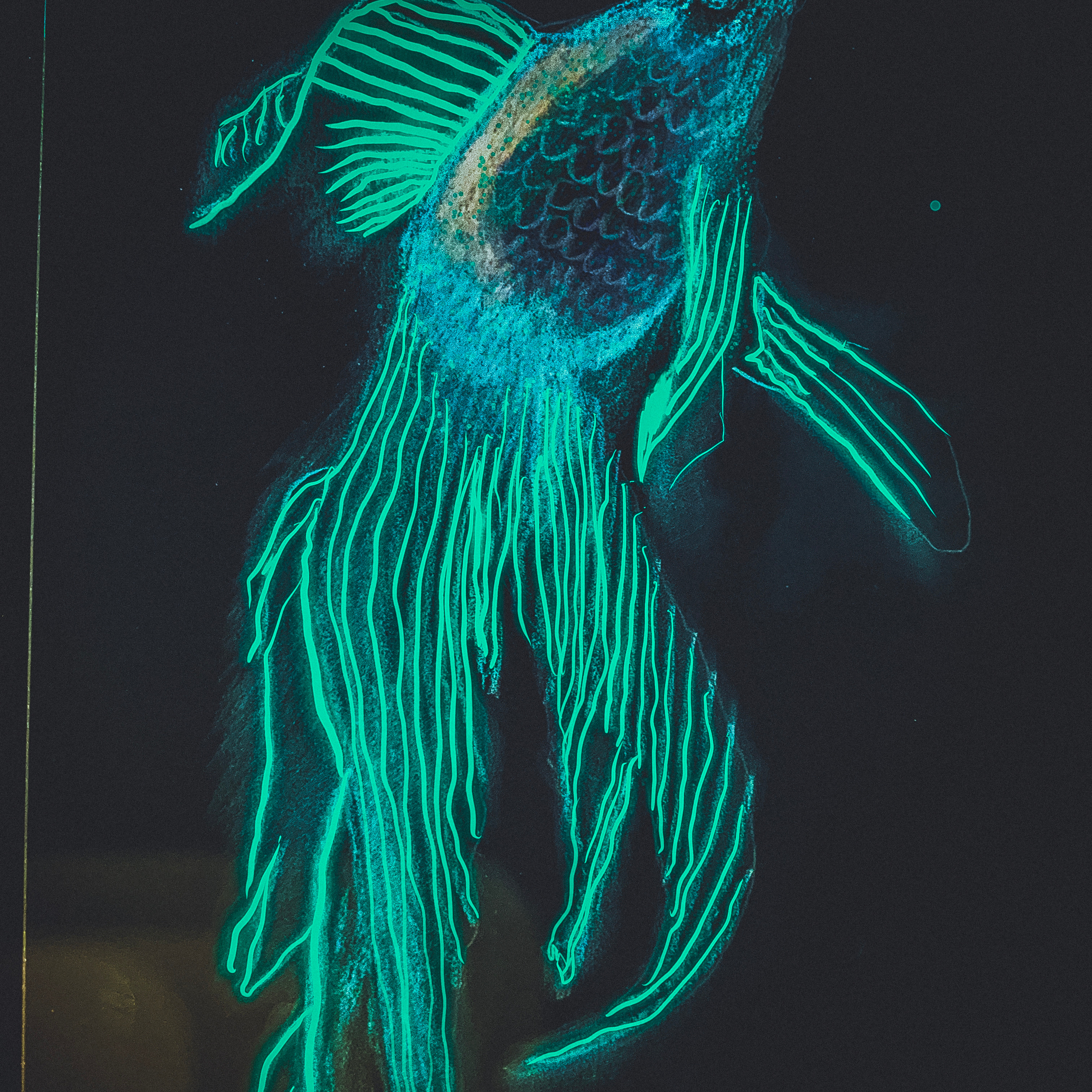 Космическая рыба плывущая в потоке бескрайнего космоса 