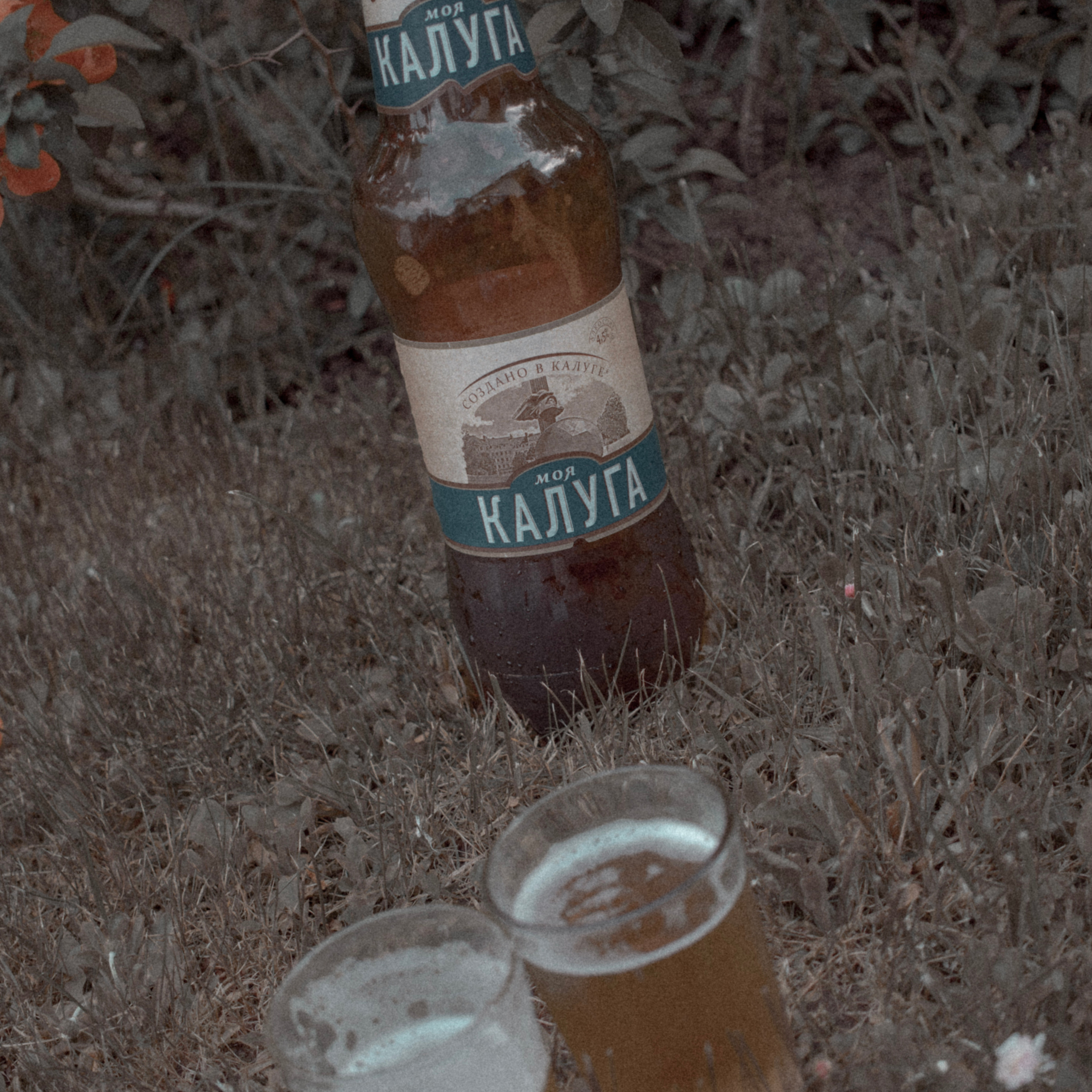 Налитые стаканы пива моя калуга стоящие на зеленой траве