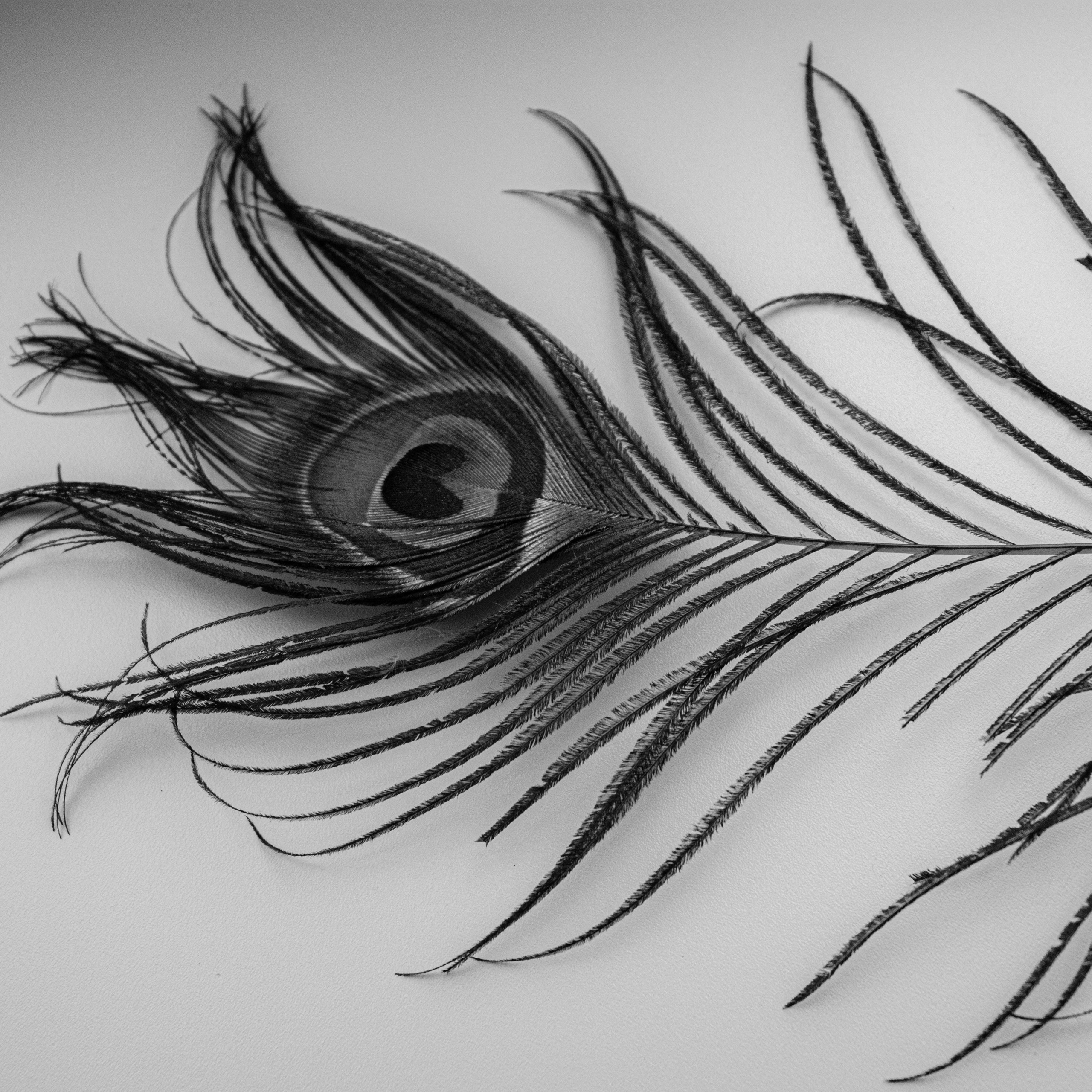 Victoria Secret №2