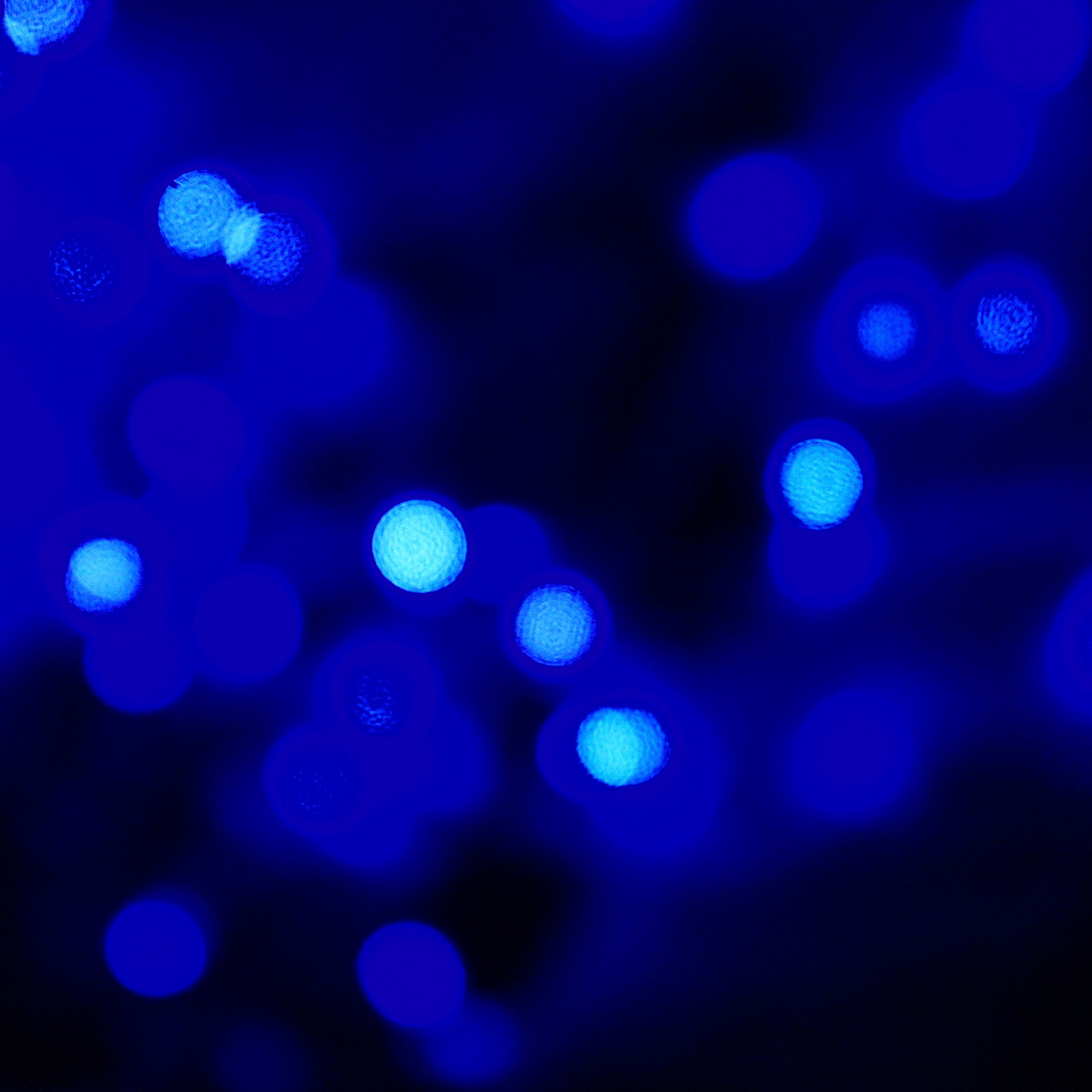 Bokeh/Боке №1