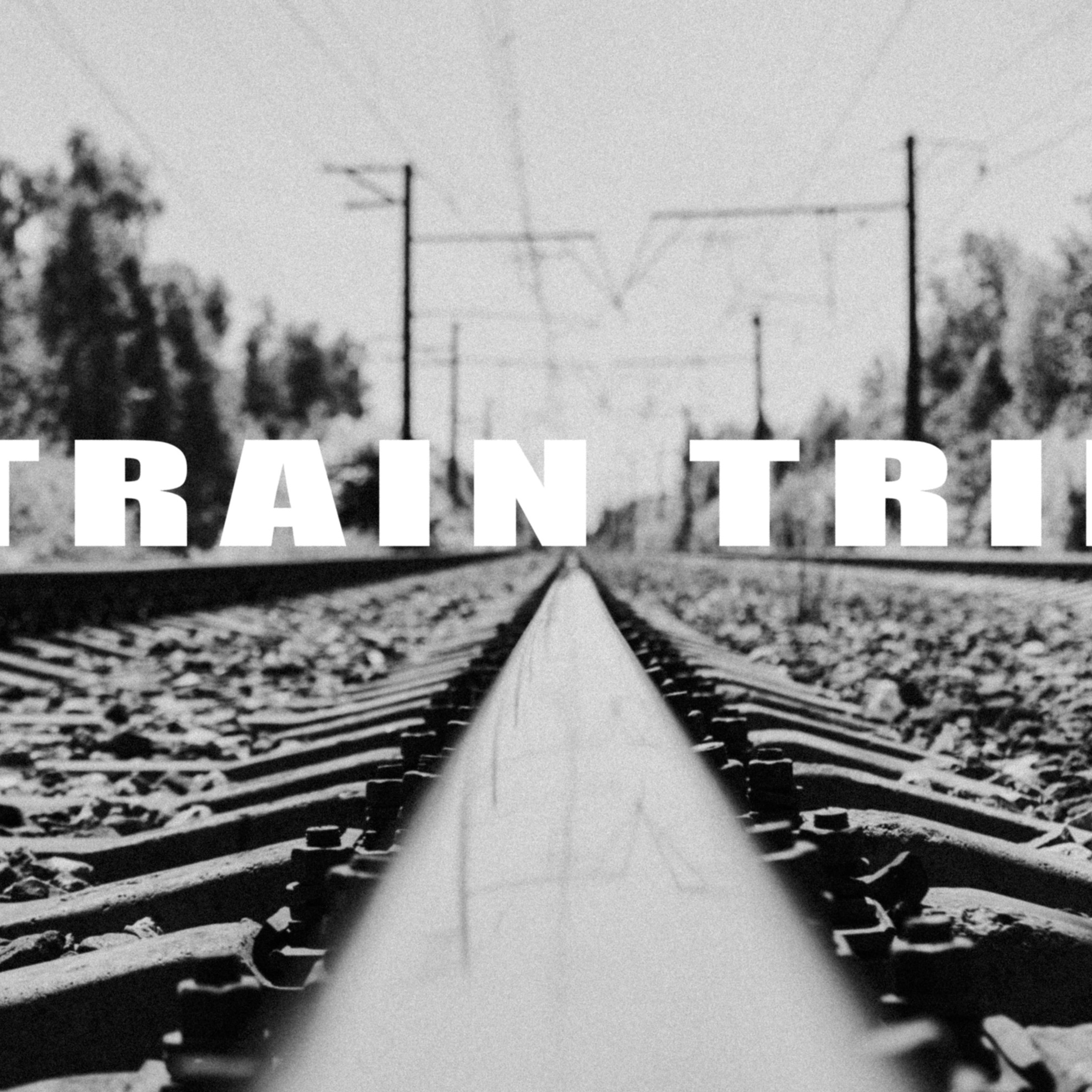 поездка на поезде train trip железная дорога в черно-белых тонах дорожное приключение российские железные дороги 