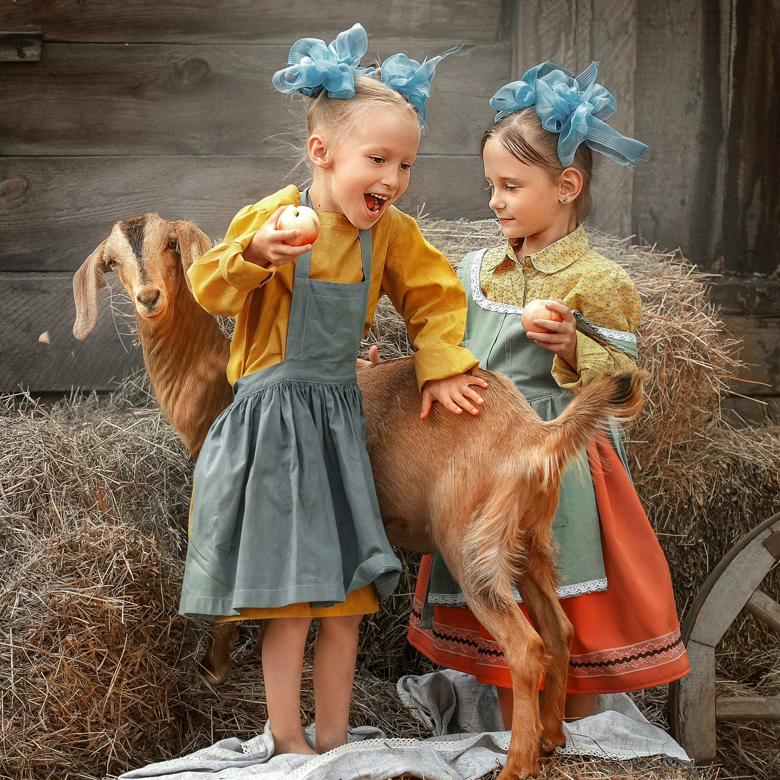 ДЕРЕВЕНСКИЕ ИСТОРИИ