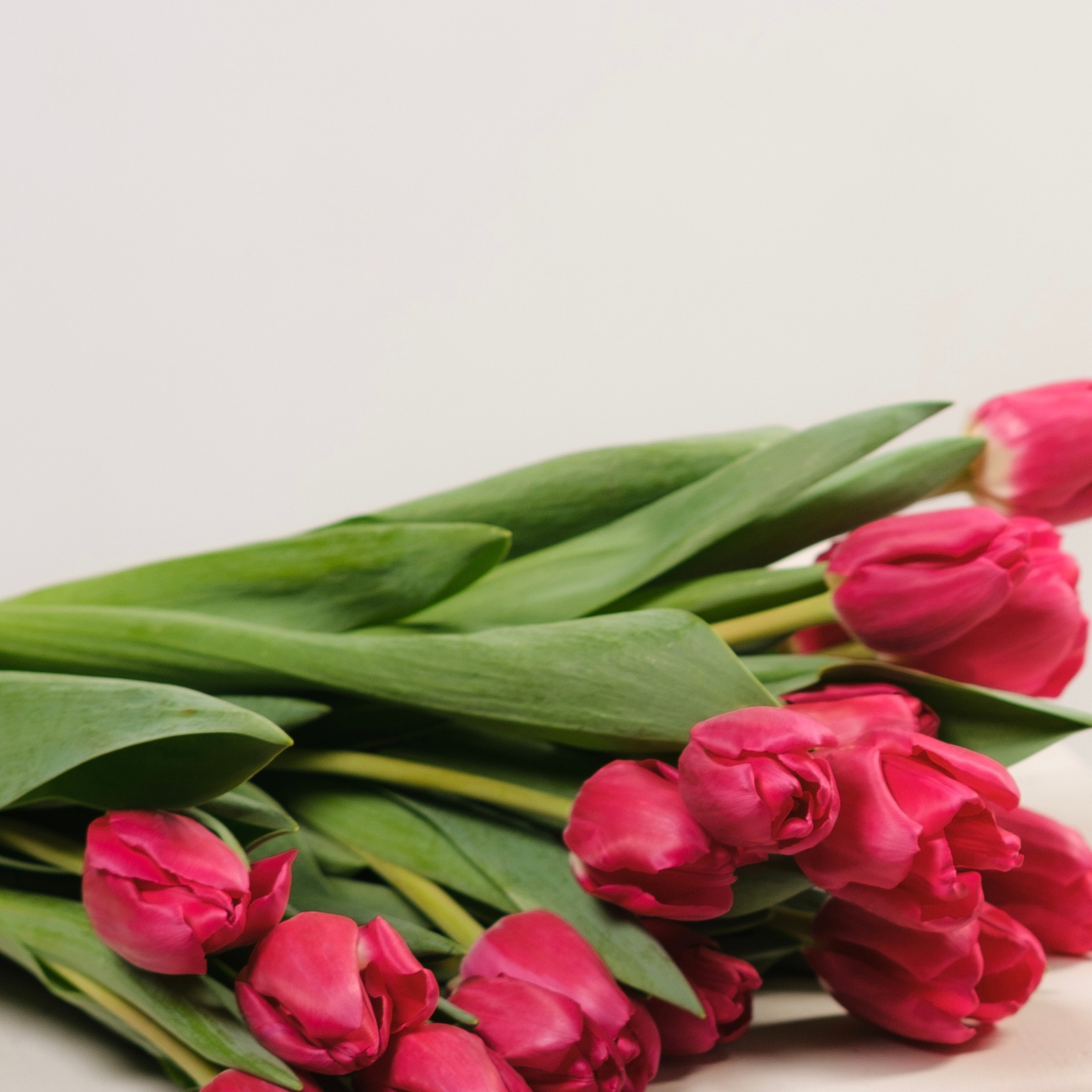 Фотограф Армавир Алина Васильева. Фотограф Армавир Алина Васильева