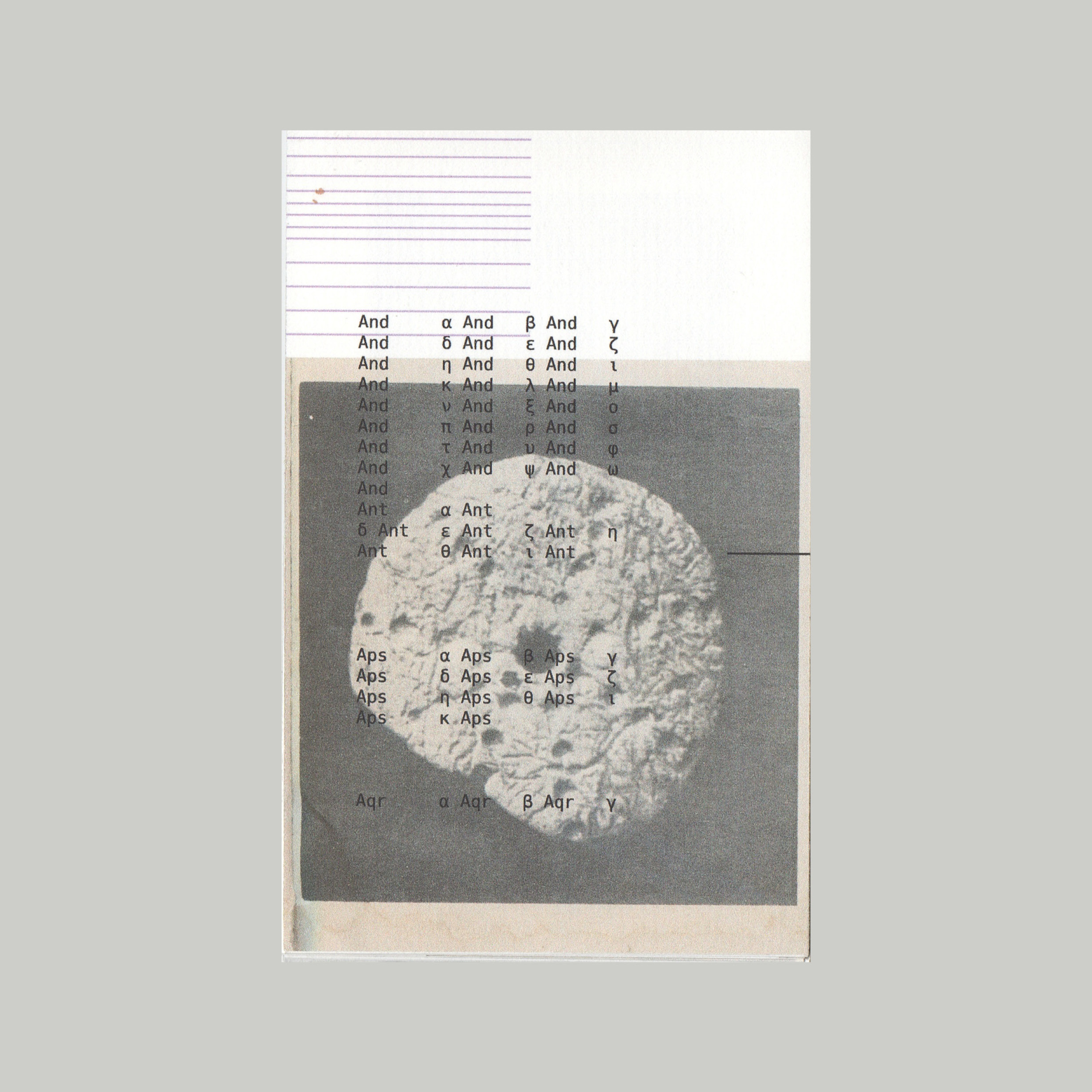 the true picture of the past