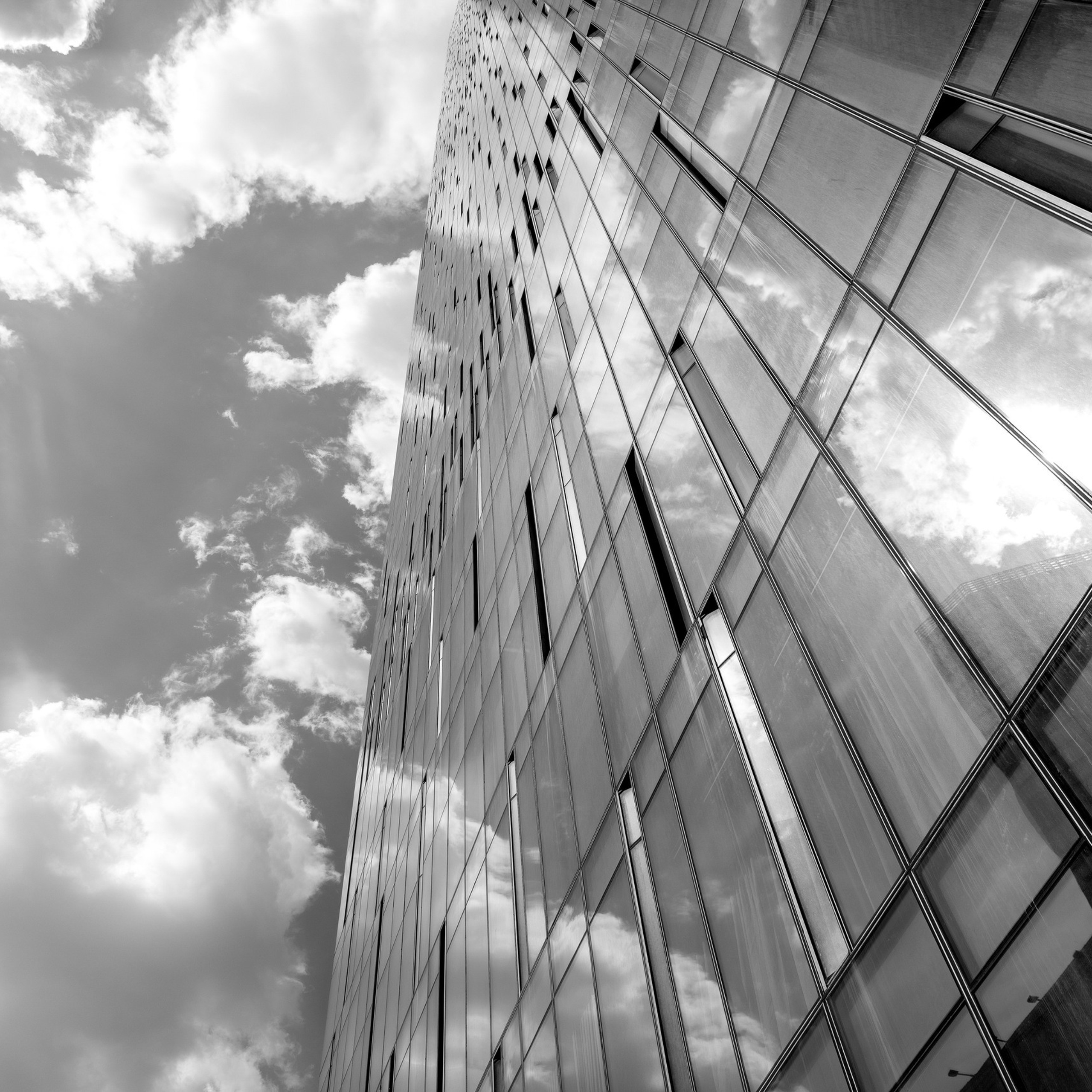 Отзывы. Свадебный фотограф москва