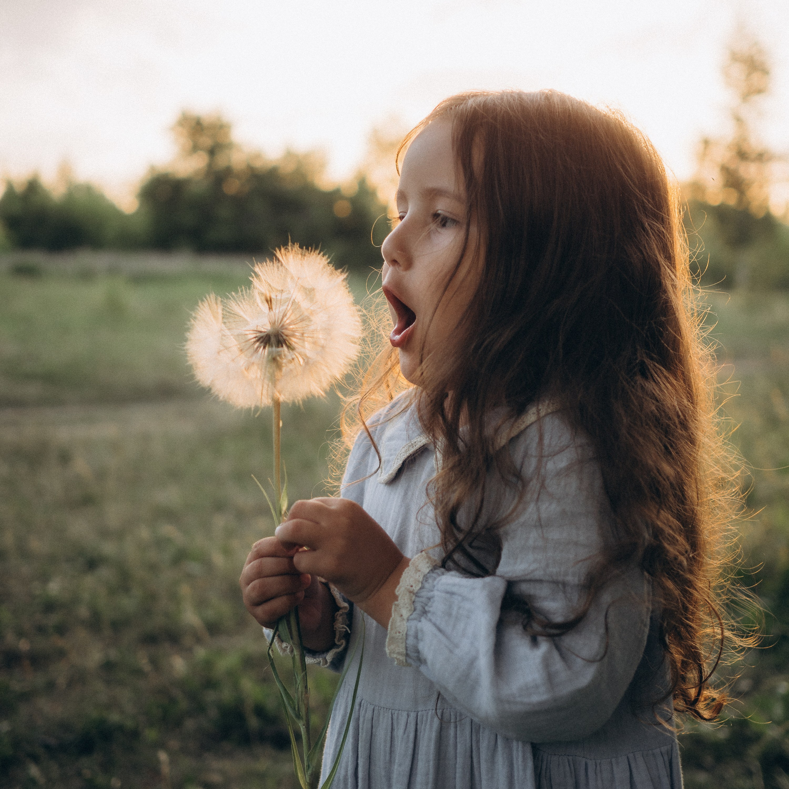 На природе. поля