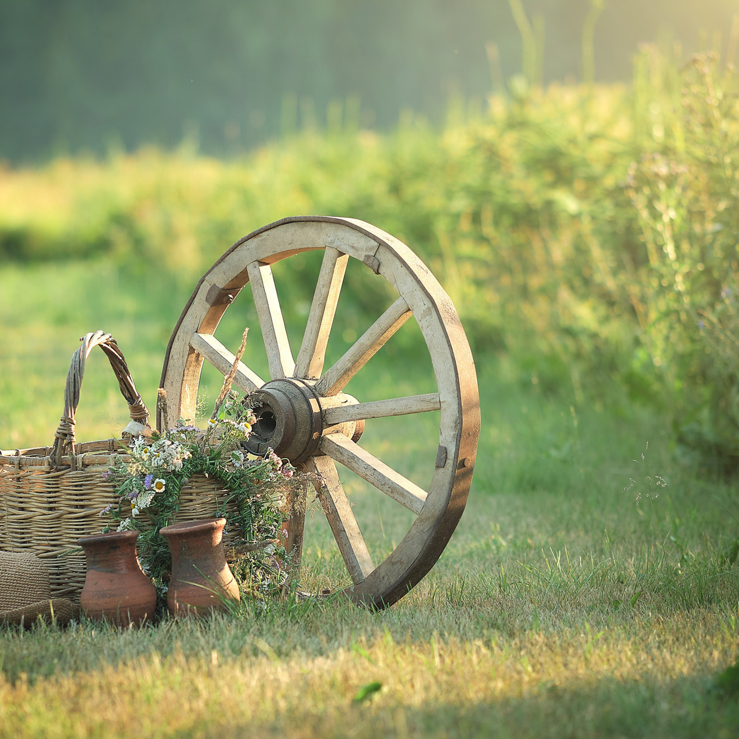 Отзывы о моей работе. Выпускной альбом Выборг, Каменногорск, Светогорск, Санкт-Петербург
