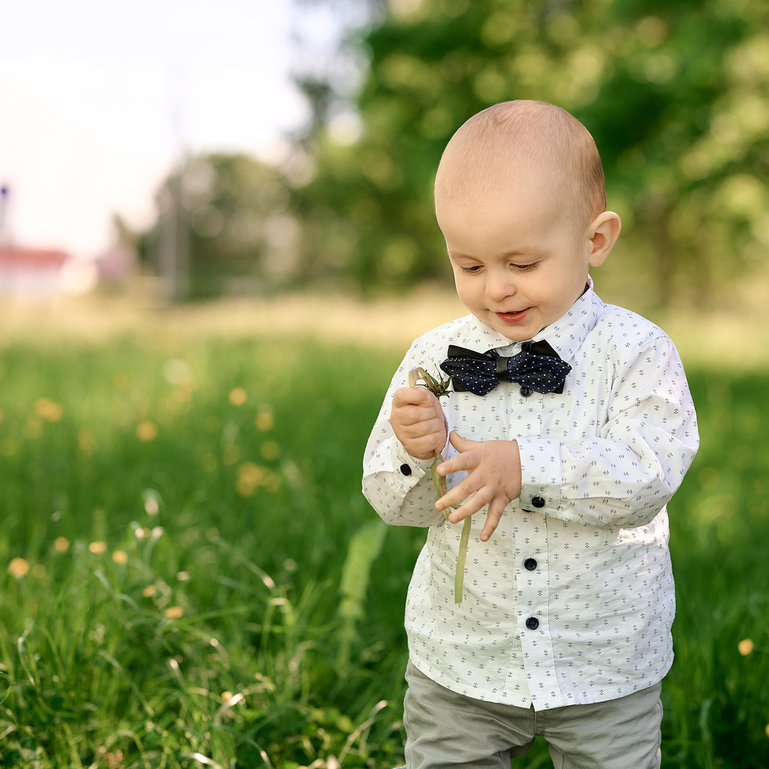 Отзывы о моей работе. Выпускной альбом Выборг, Каменногорск, Светогорск, Санкт-Петербург