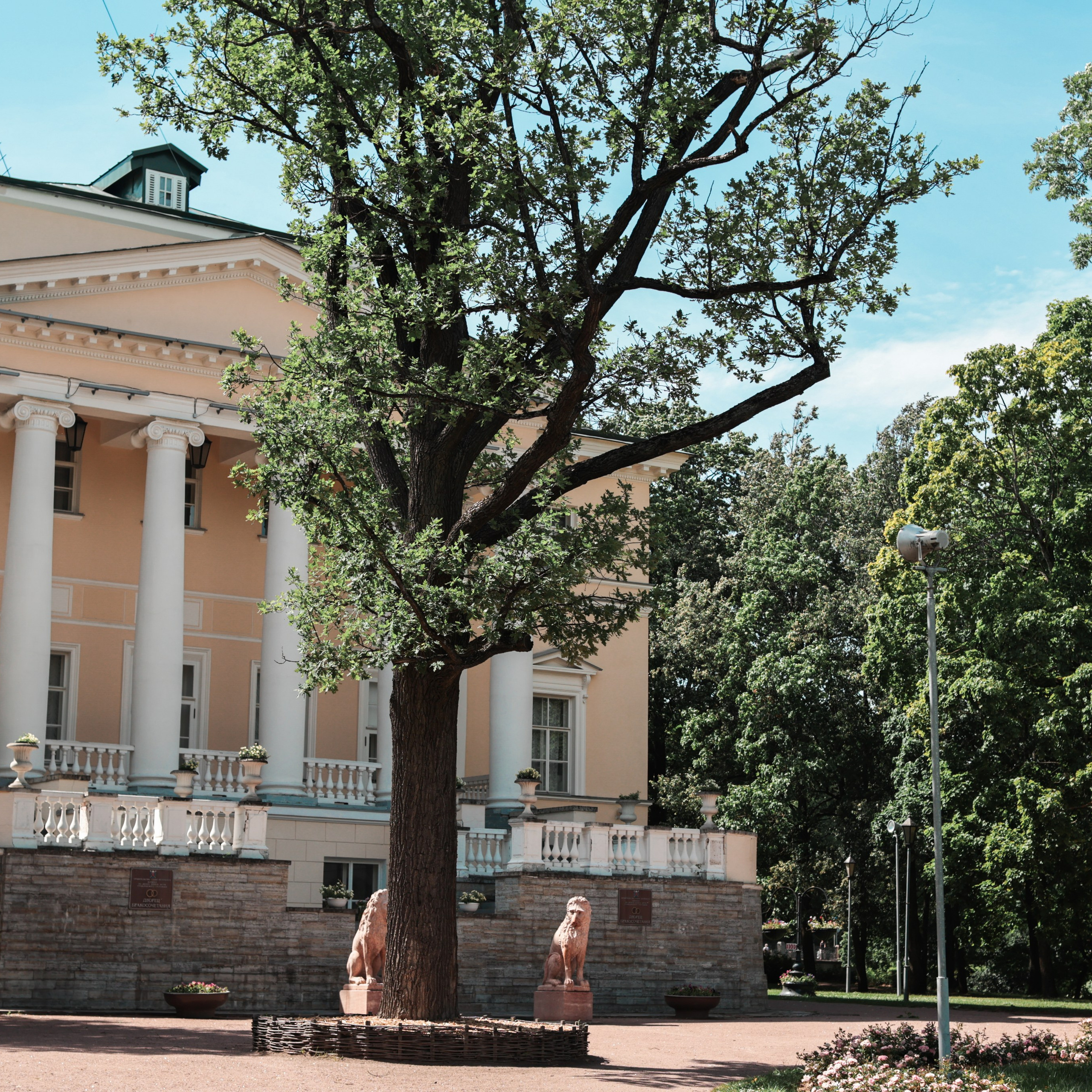 Садовая улица города Пушкина