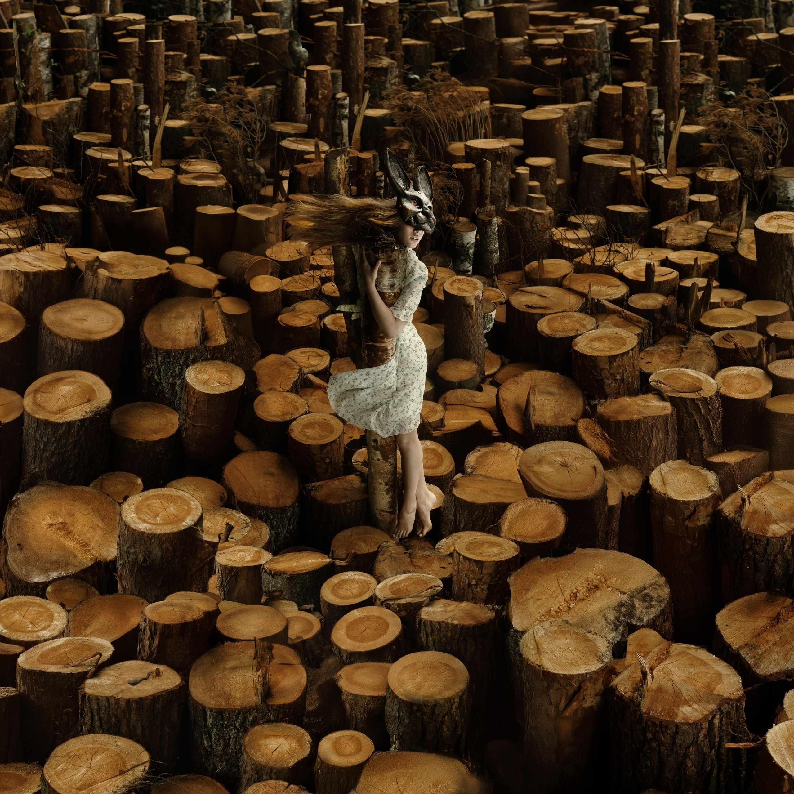 АРТ картины. ART PHOTOGRAPHER KIRILL SAKRUKIN