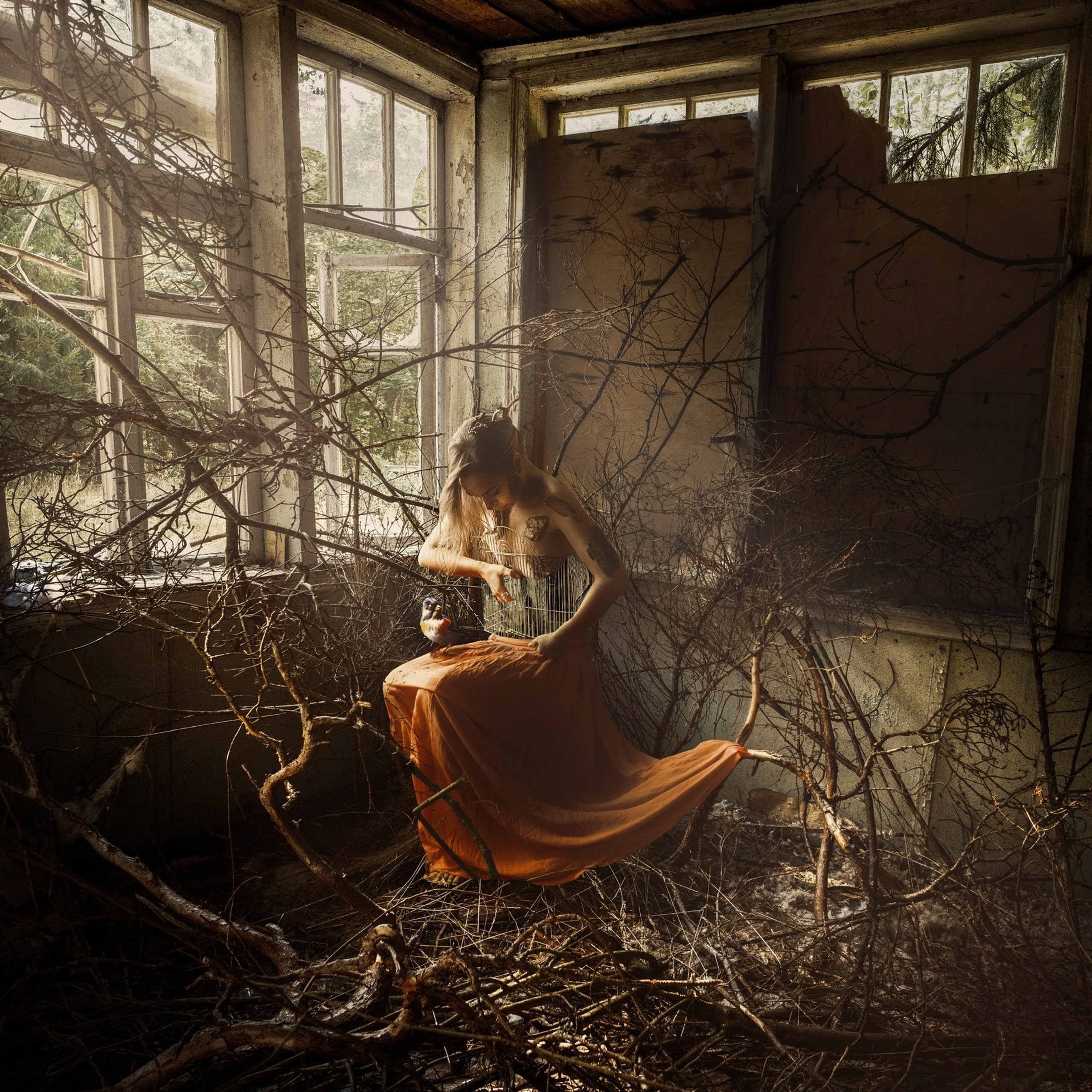 АРТ картины. ART PHOTOGRAPHER KIRILL SAKRUKIN