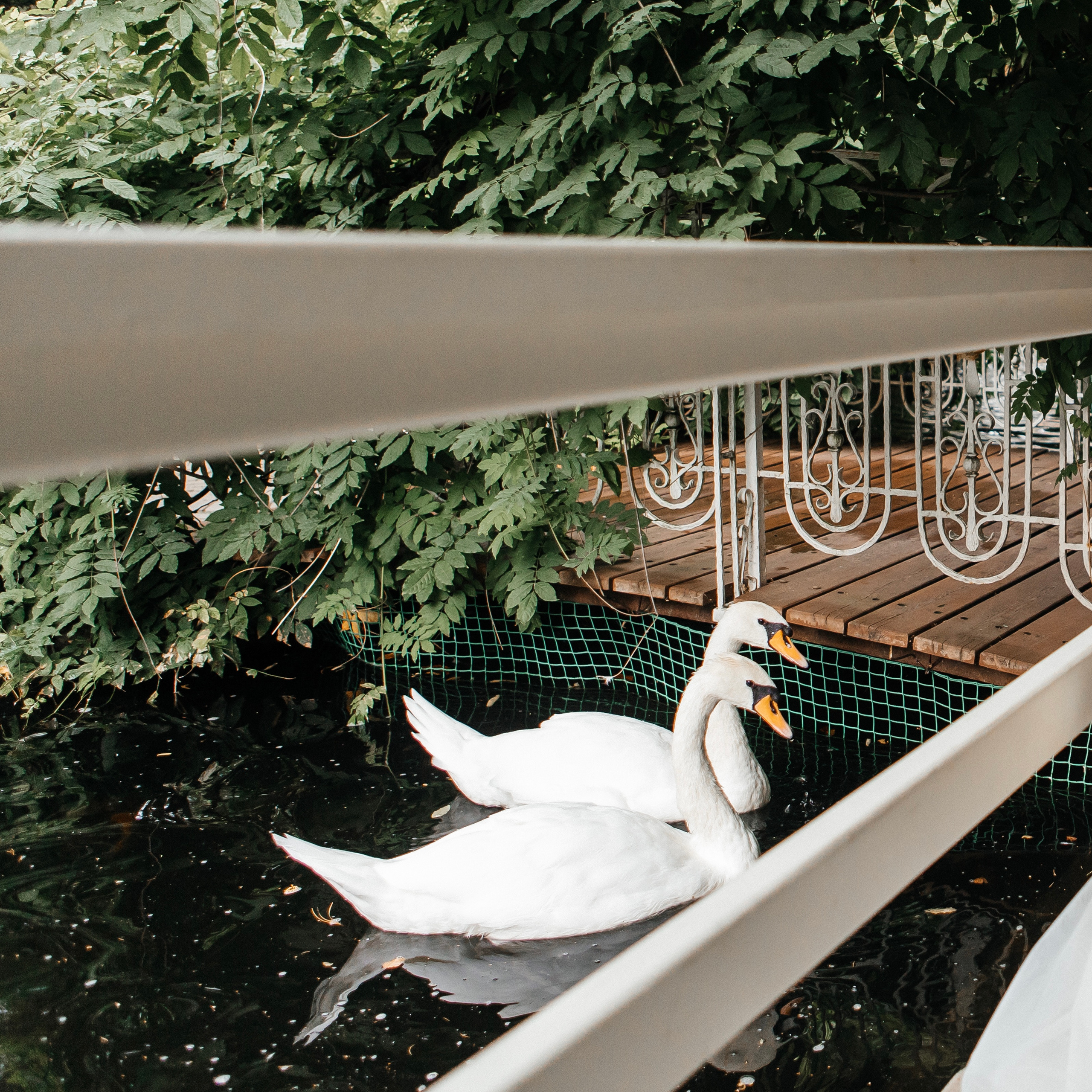 Отзывы. Свадебный и семейный фотограф в Ростове-на-Дону