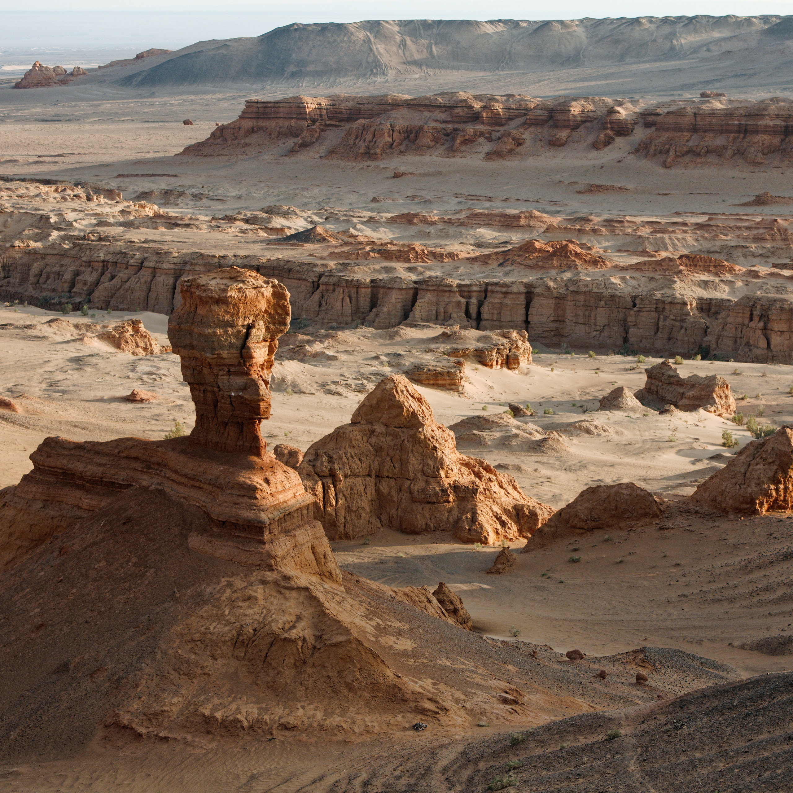 Монголия 2025 (юг — Гоби)