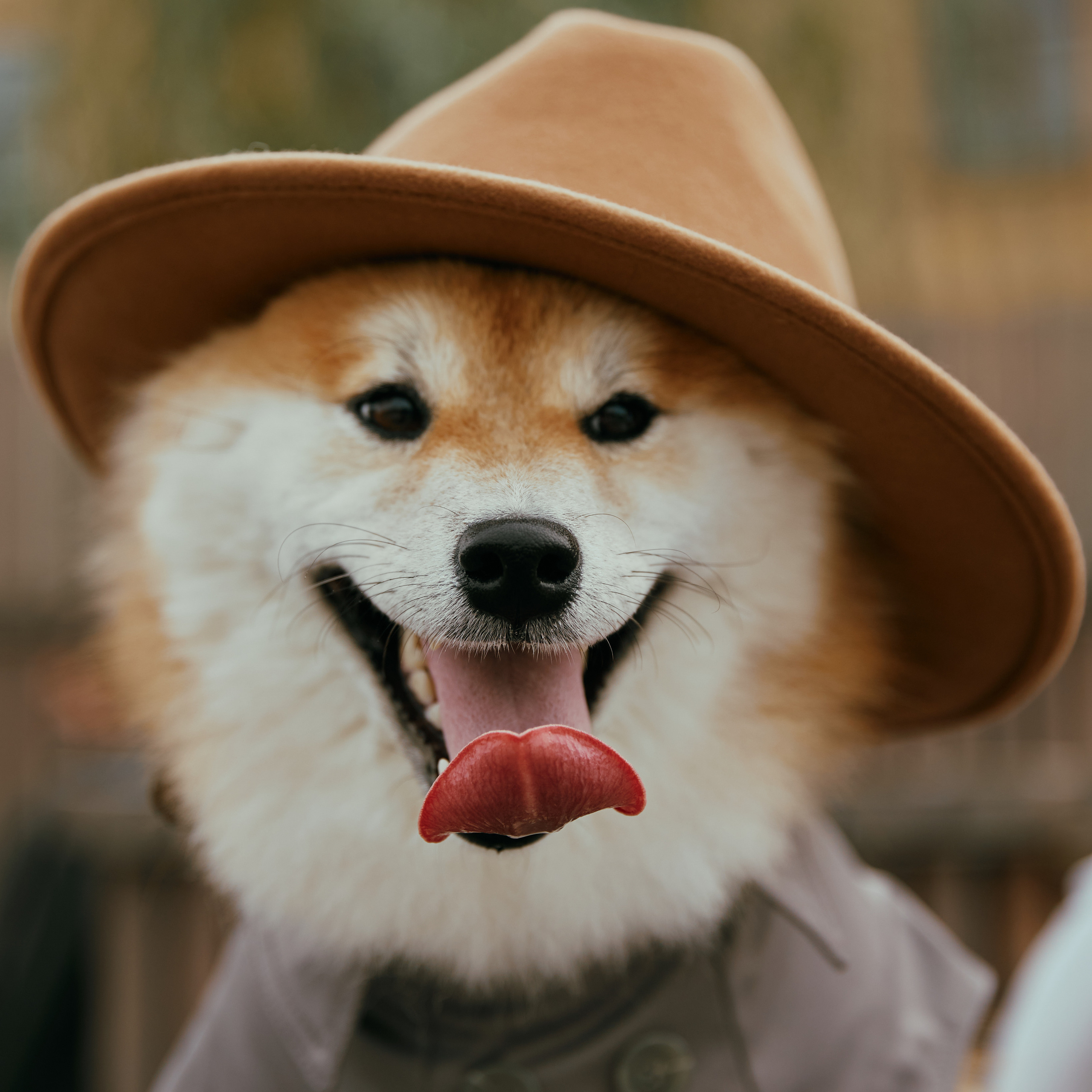 Ханни Вова Эль