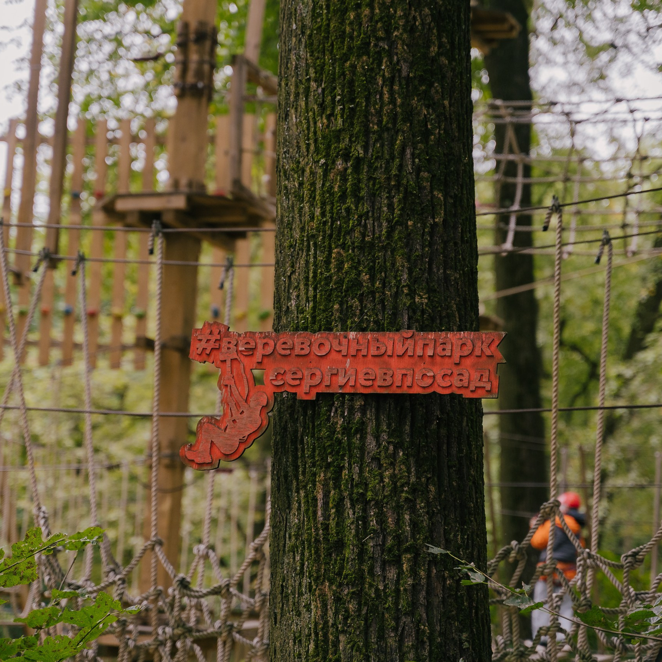 Отзывы. Снимаю жизнь ❤