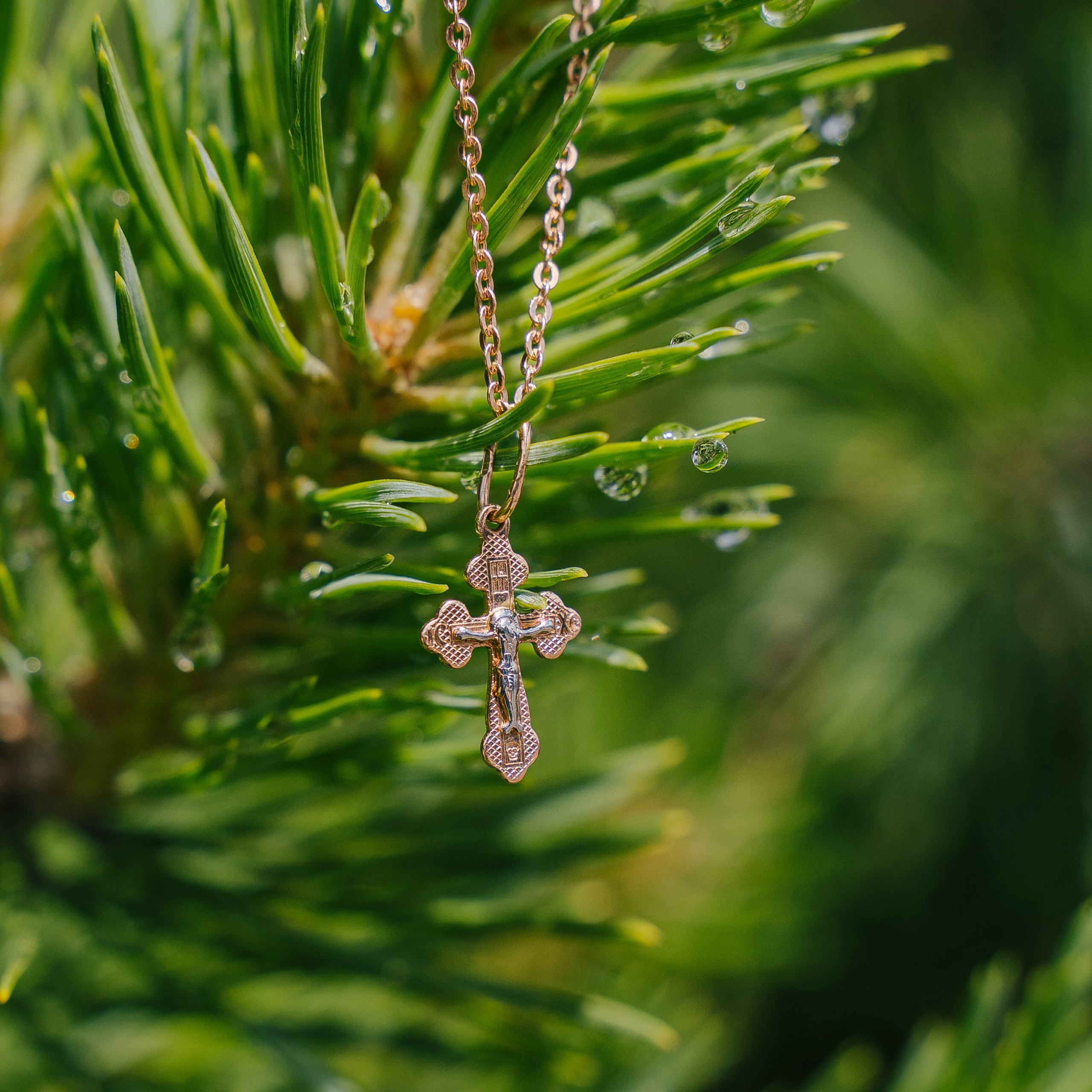 Отзывы. Снимаю жизнь ❤