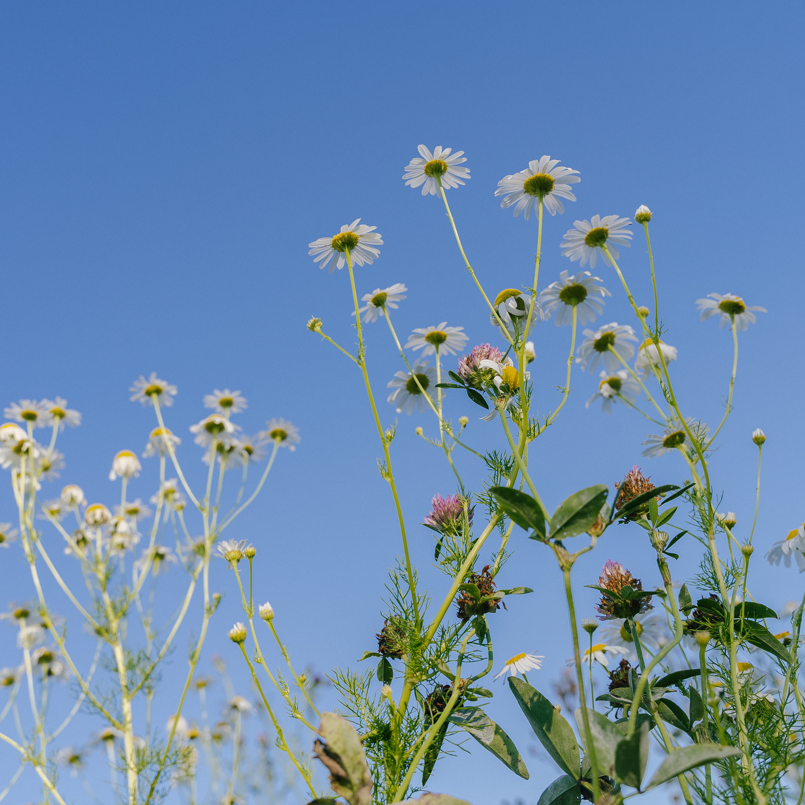 Отзывы. Снимаю жизнь ❤