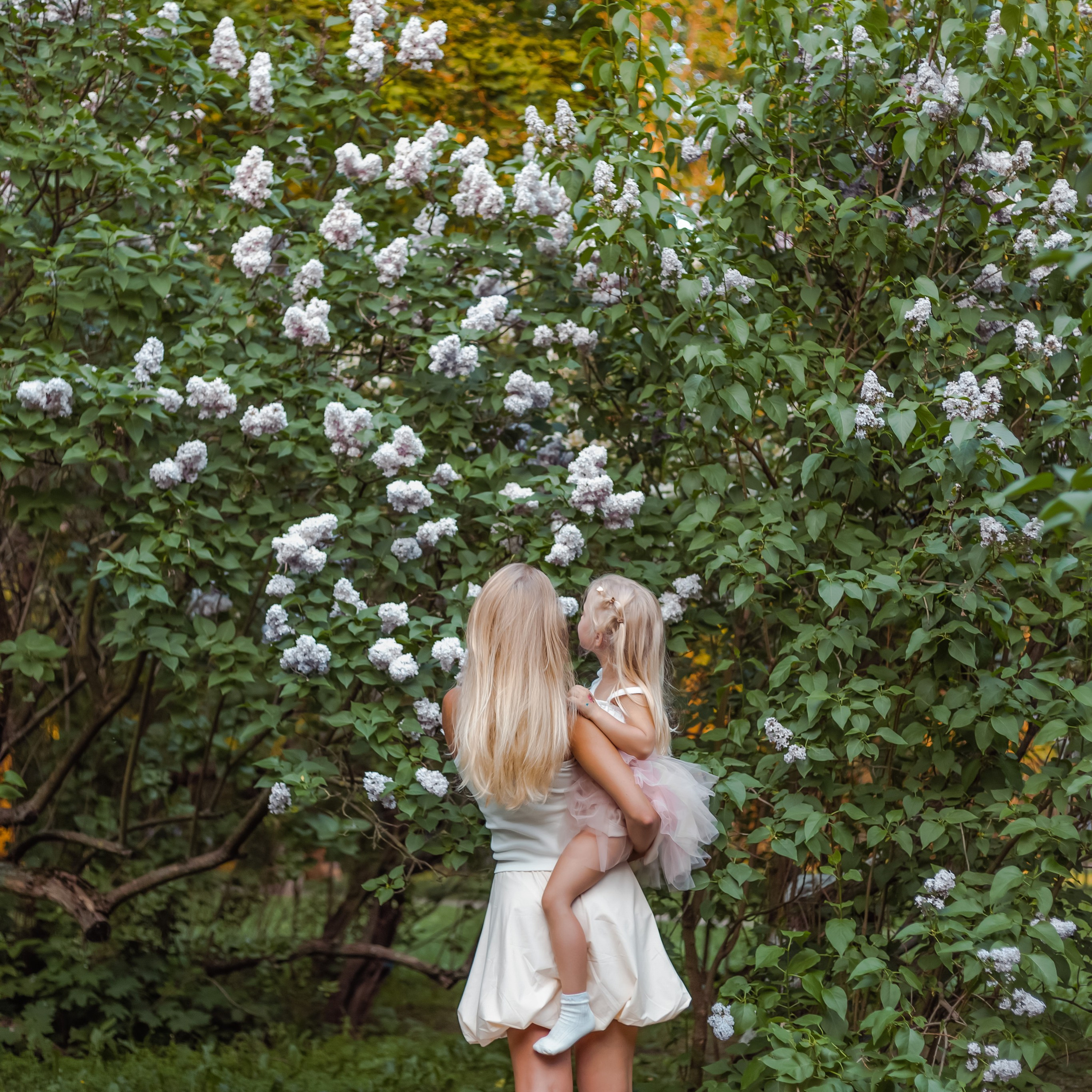 Сиреневый сад