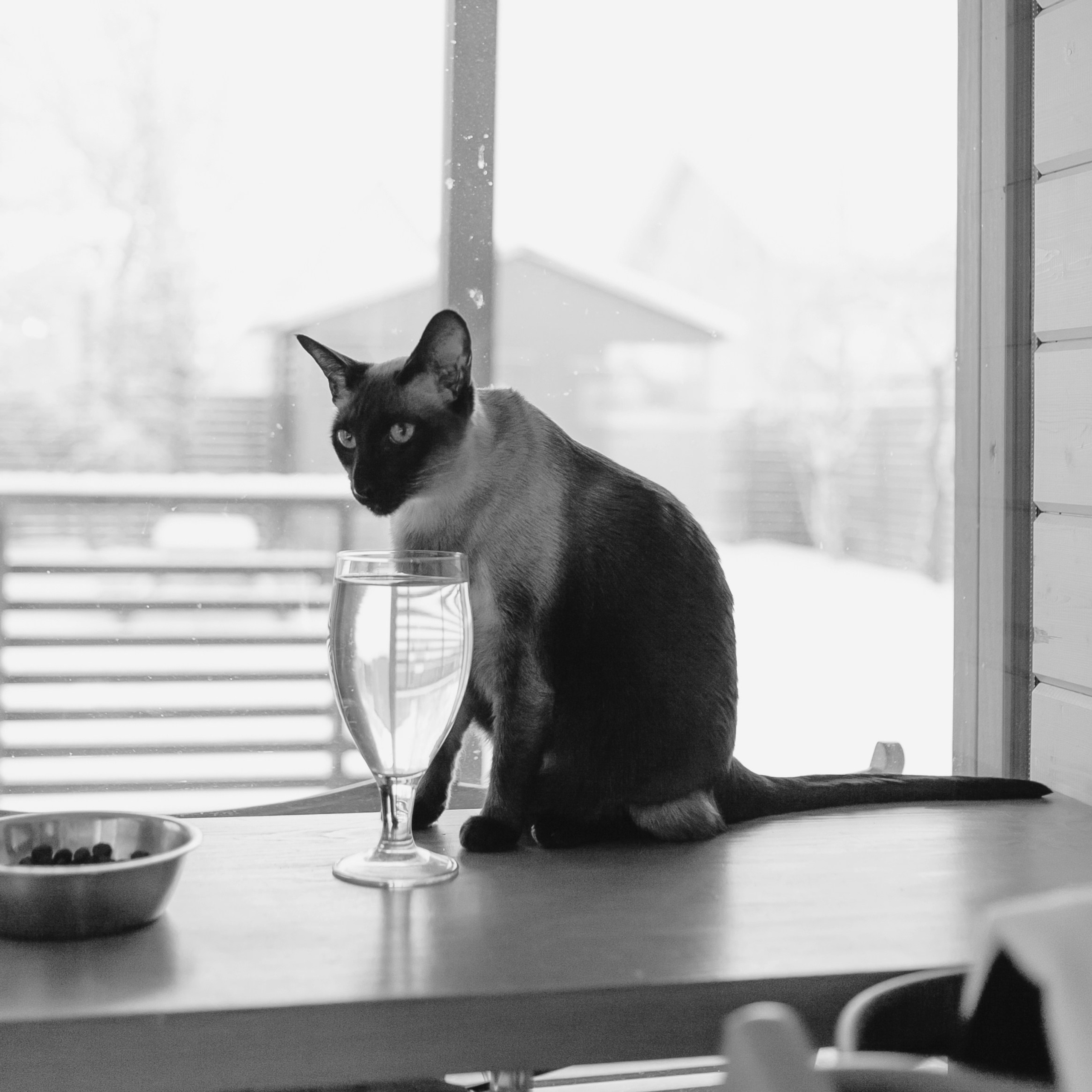 Семья. Зима