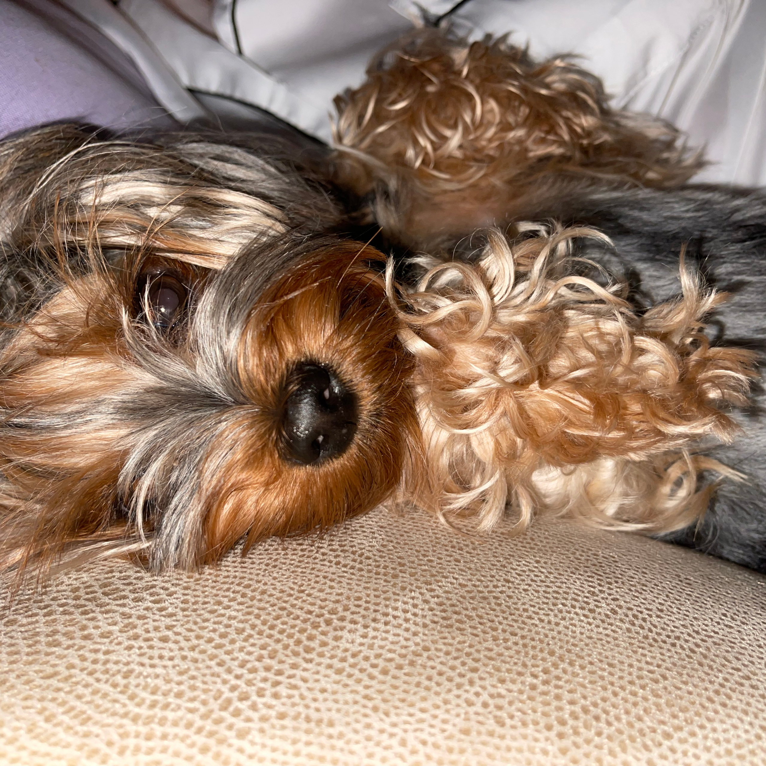 Отзывы. Лазерная эпиляция в г. Кемерово, г. Новокузнецке и г. Киселевске