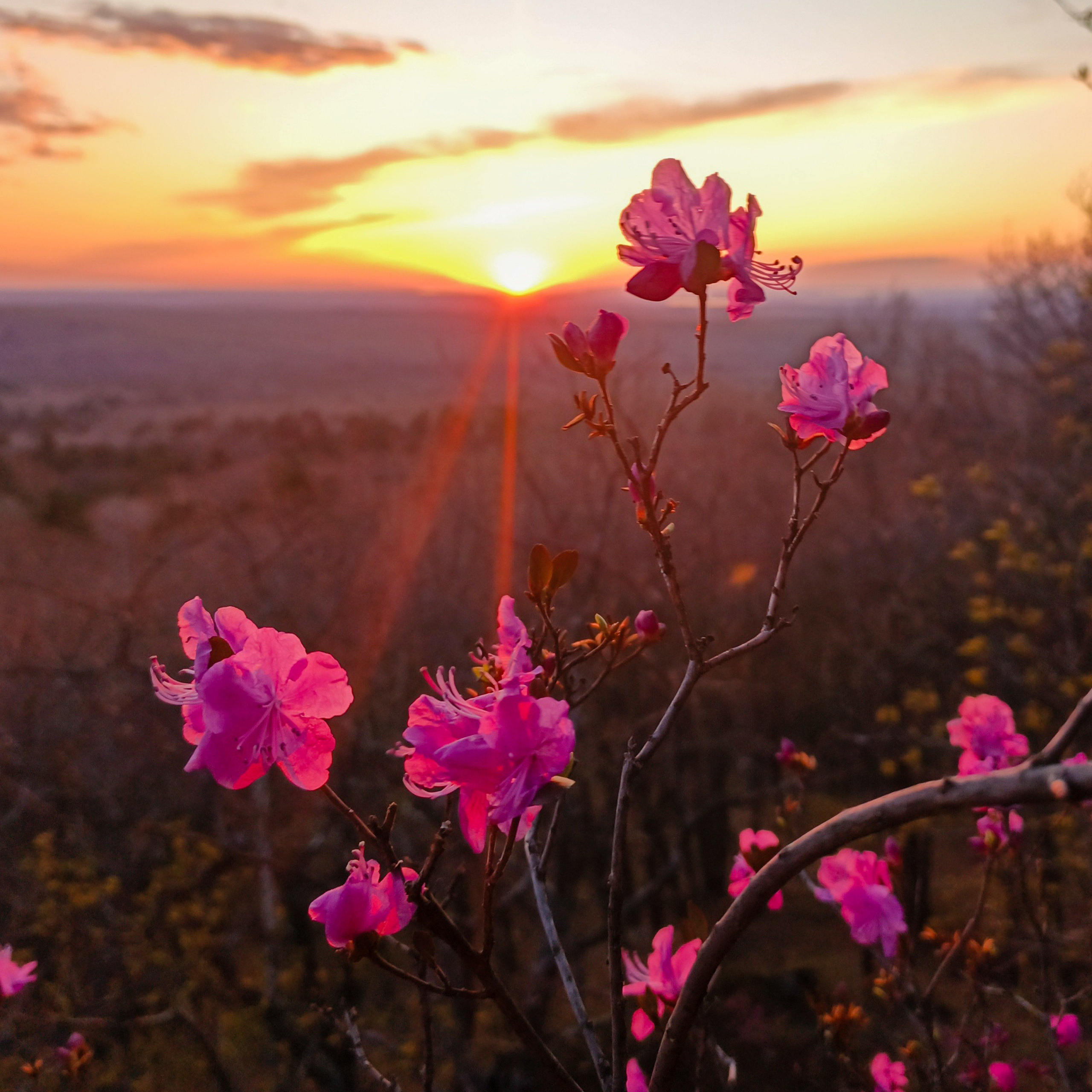 Природа. Весна
