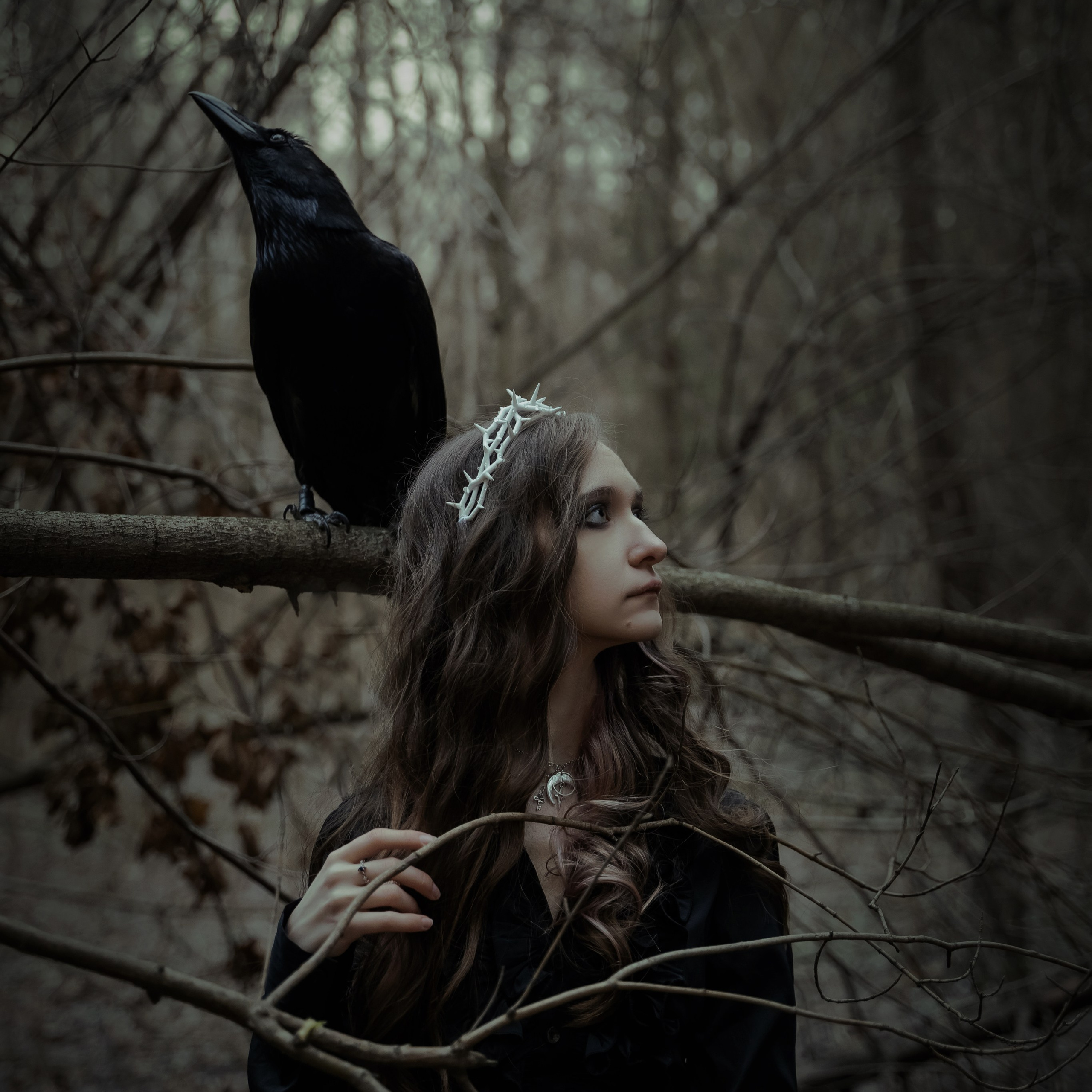 Отзывы. Фото и видеосъемка с черным вороном в Москве