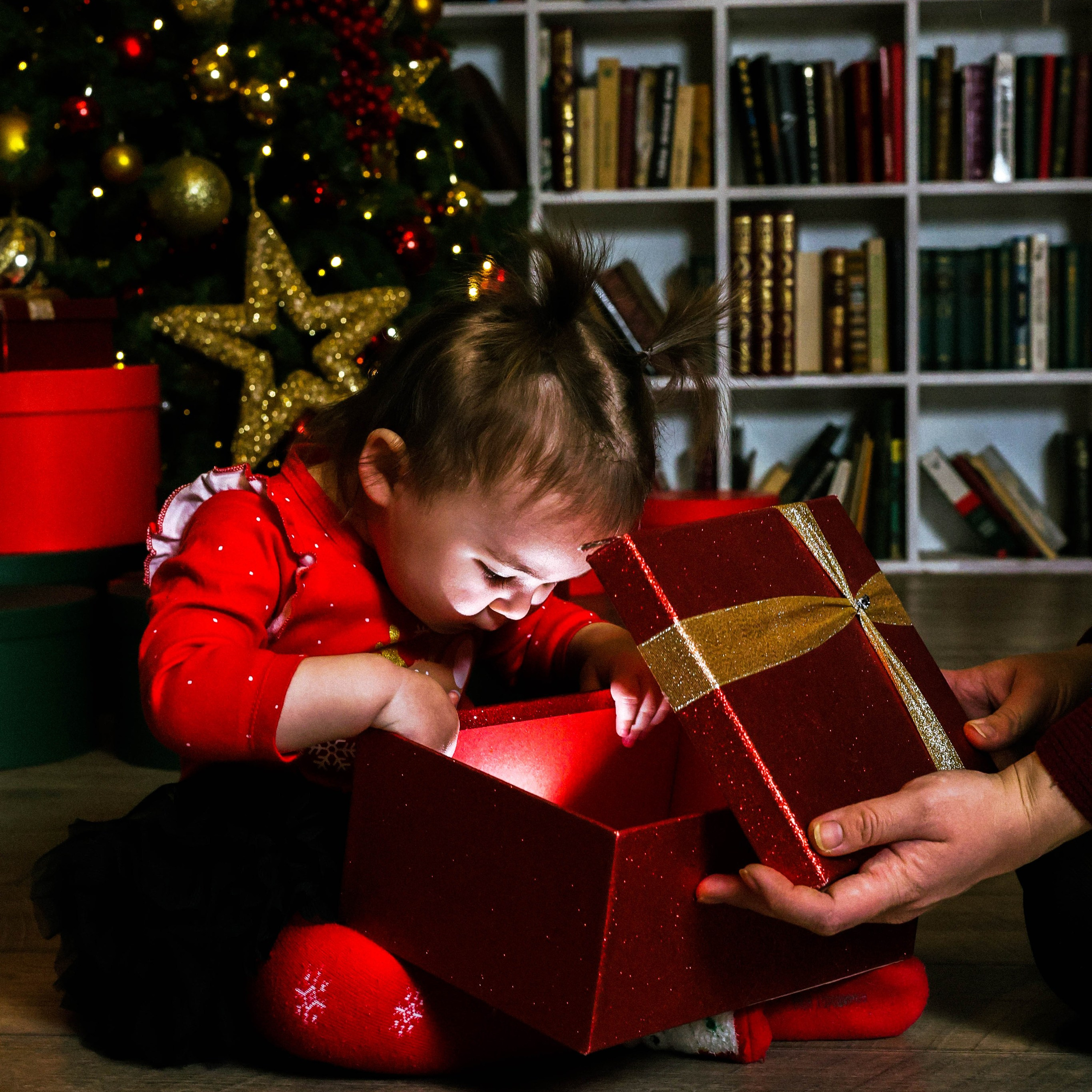 Новогодняя история «Анастасия и ее семья»