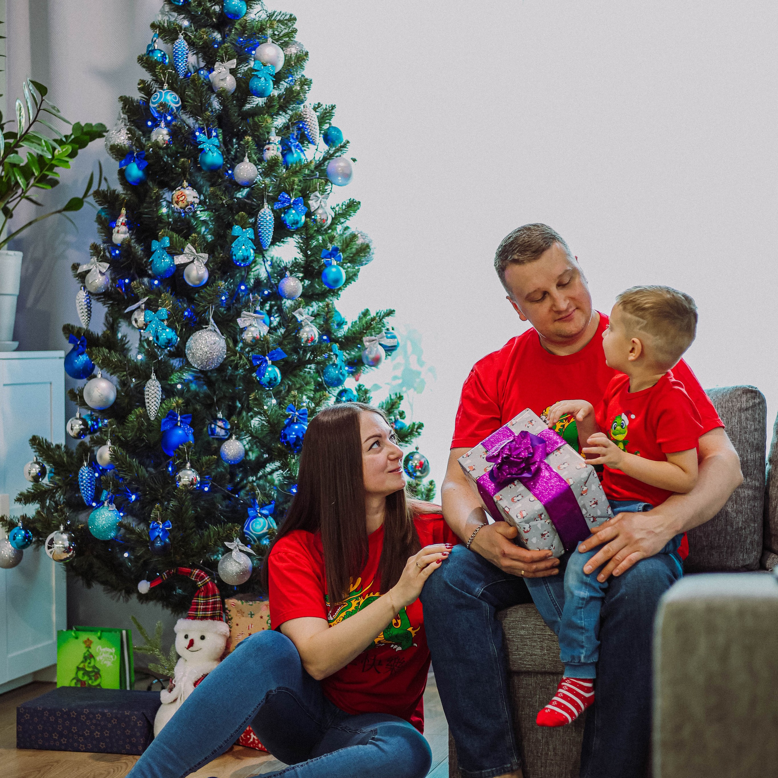 Домашняя история «Алла и ее семья»