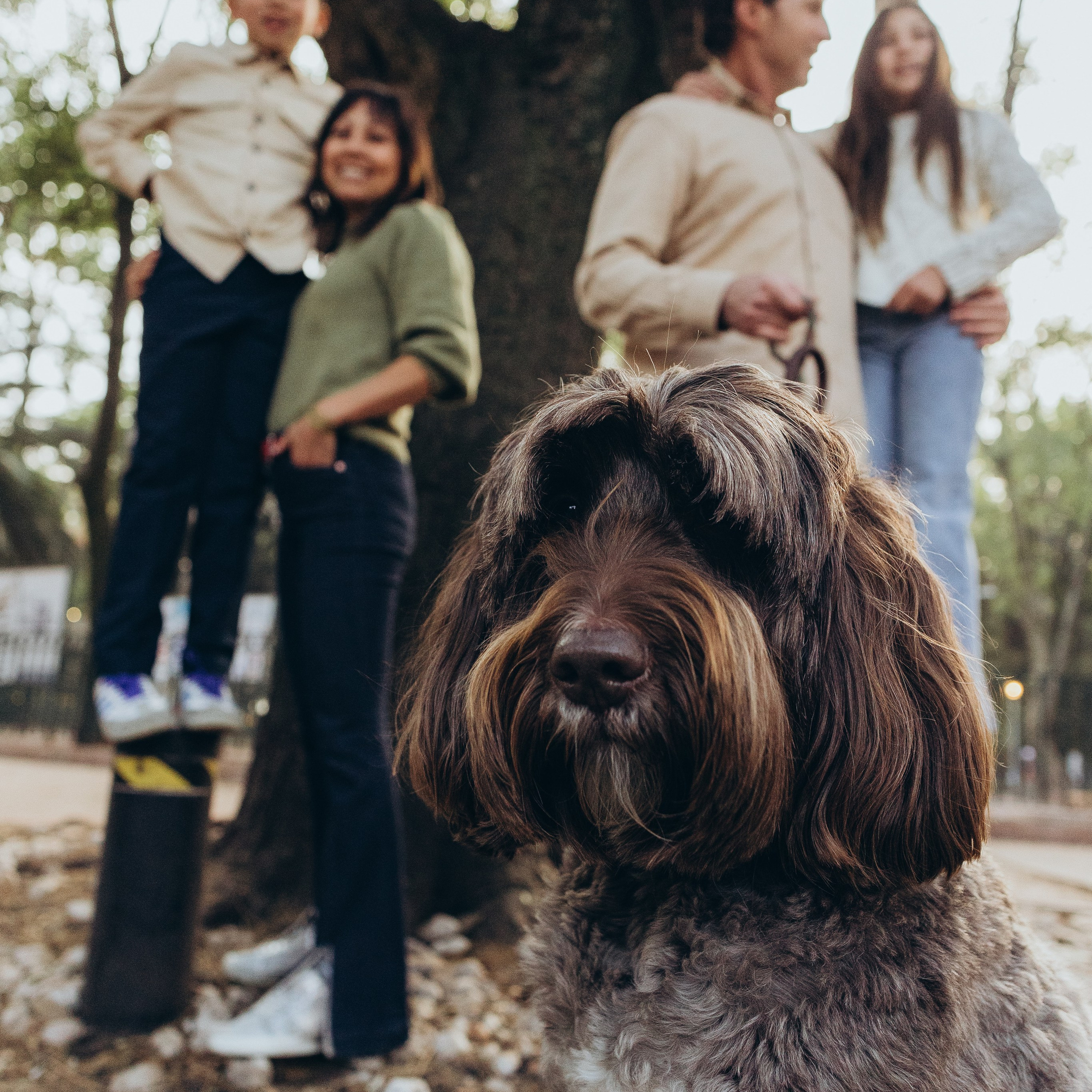 Атена, Роберт, Рави, Найа и Тахин