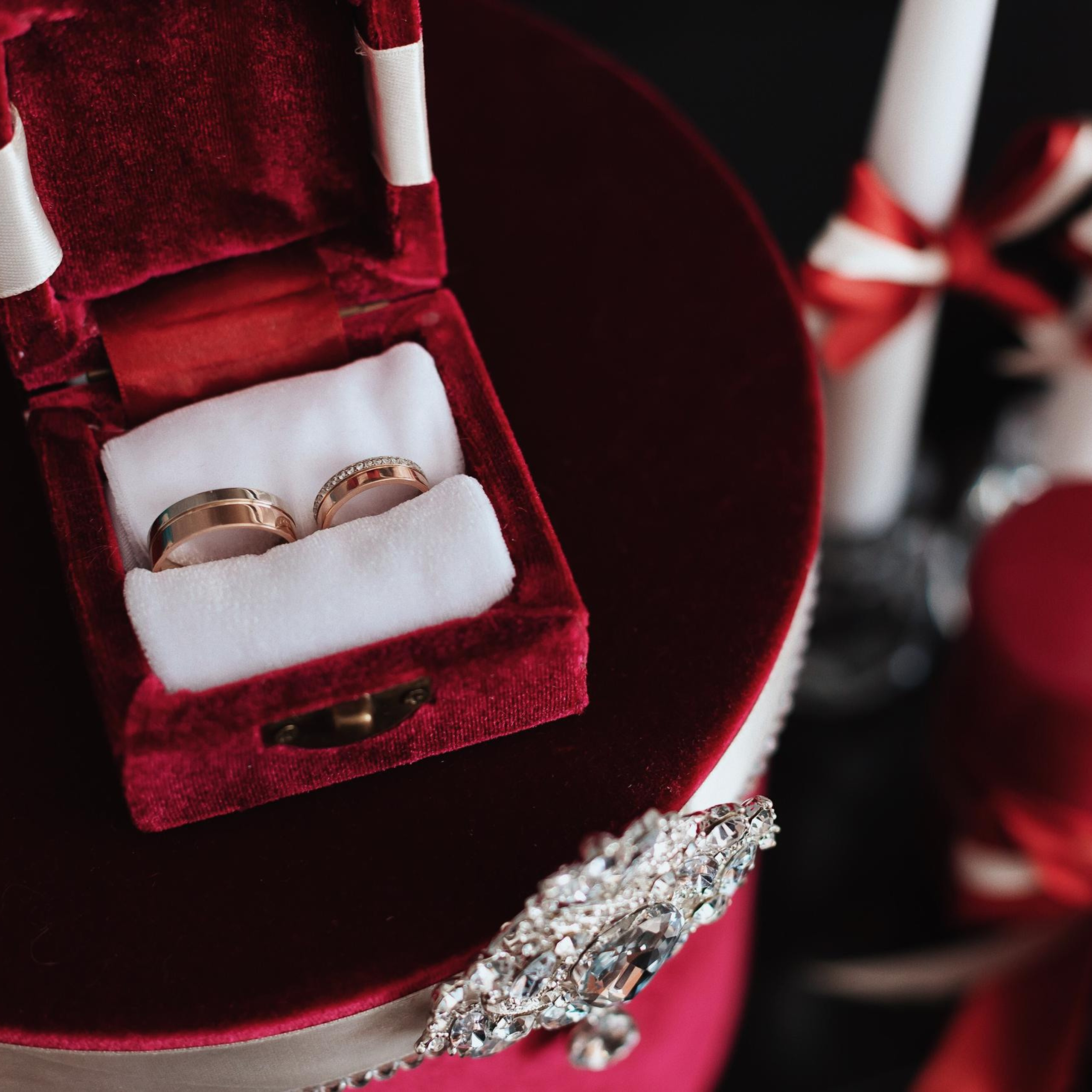 Feedback. Алёна Киселёва | фотограф