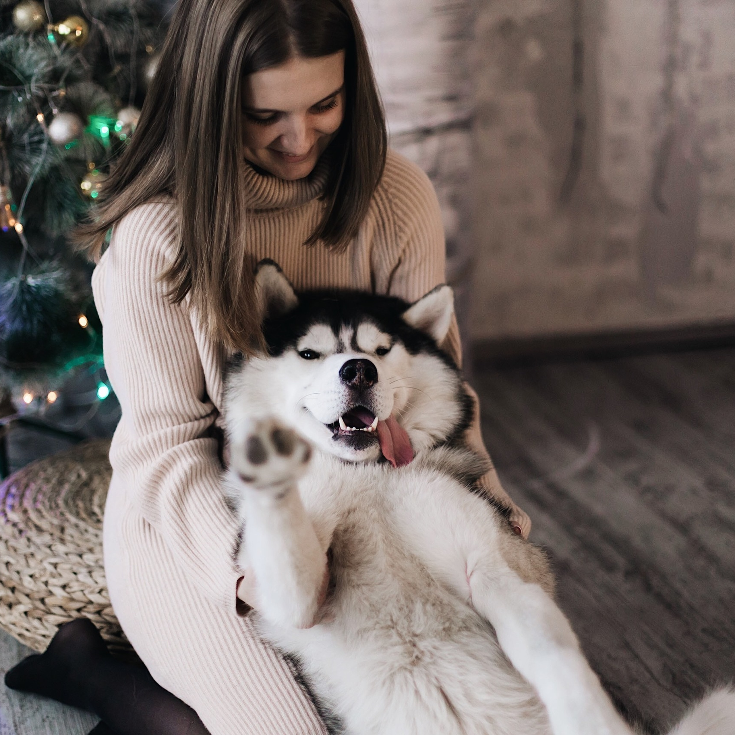 Feedback. Алёна Киселёва | фотограф