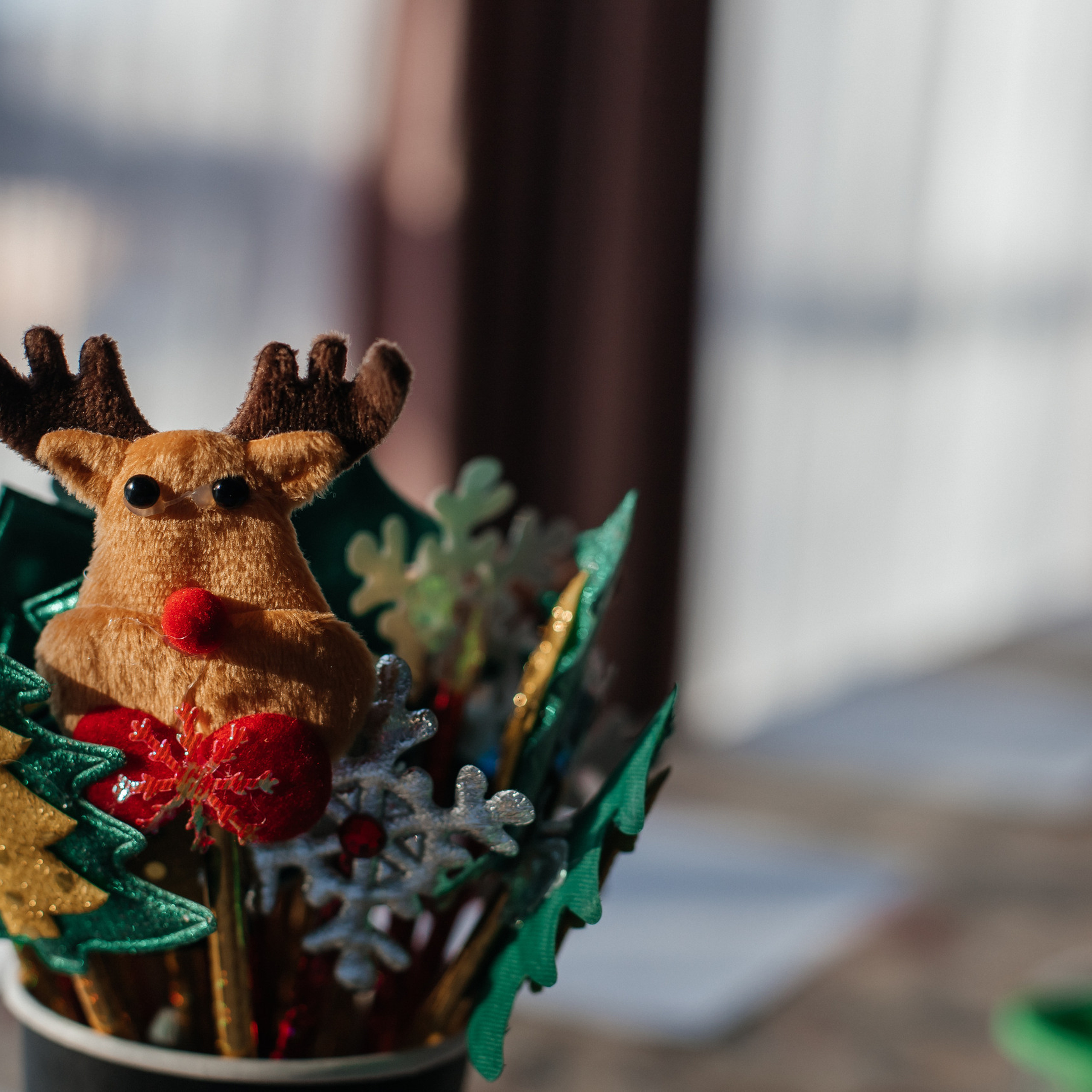 Feedback. Алёна Киселёва | фотограф