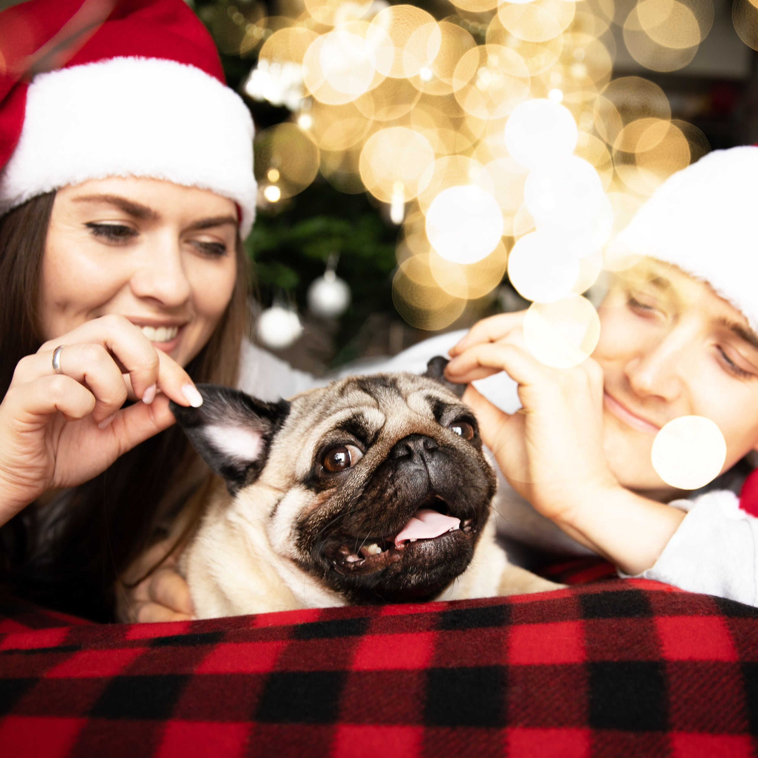 Christmas Love Story. Vika, Frenky and Sergio