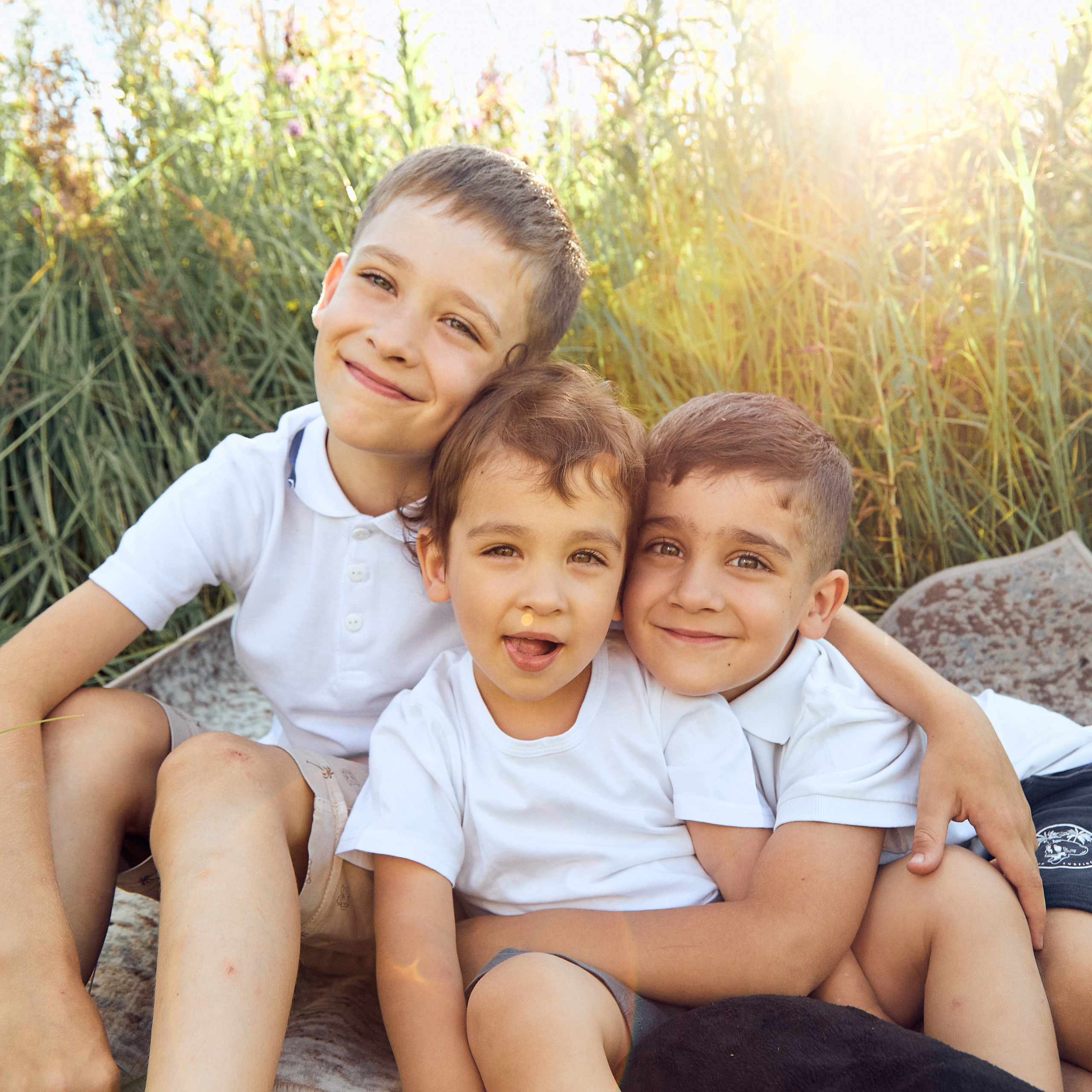 Солнечный вечер