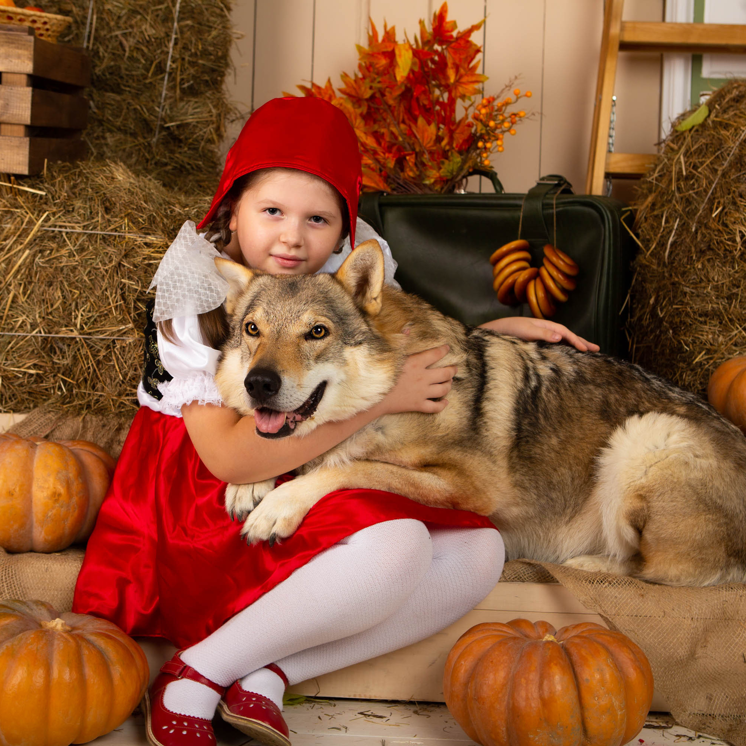 Конкурс «Дары осени» Василиса