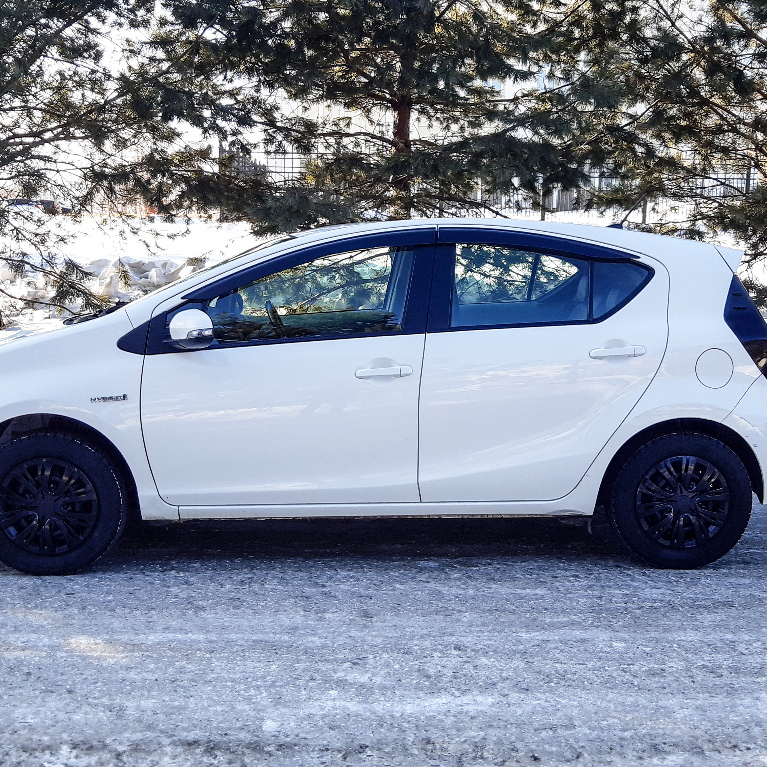 Отзывы. Детский фотограф в Хабаровске Антипова Марина