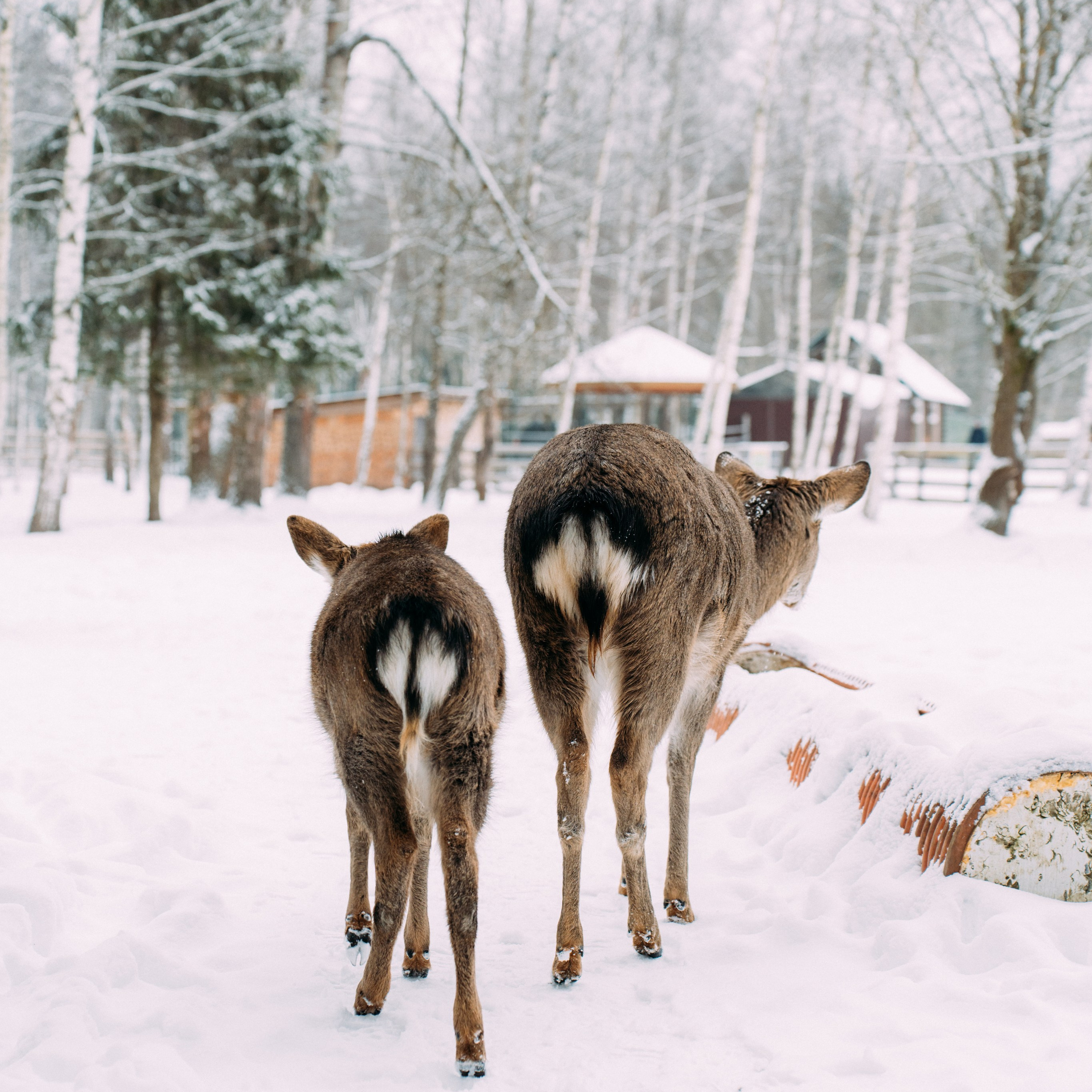 Усадьба Веретьево