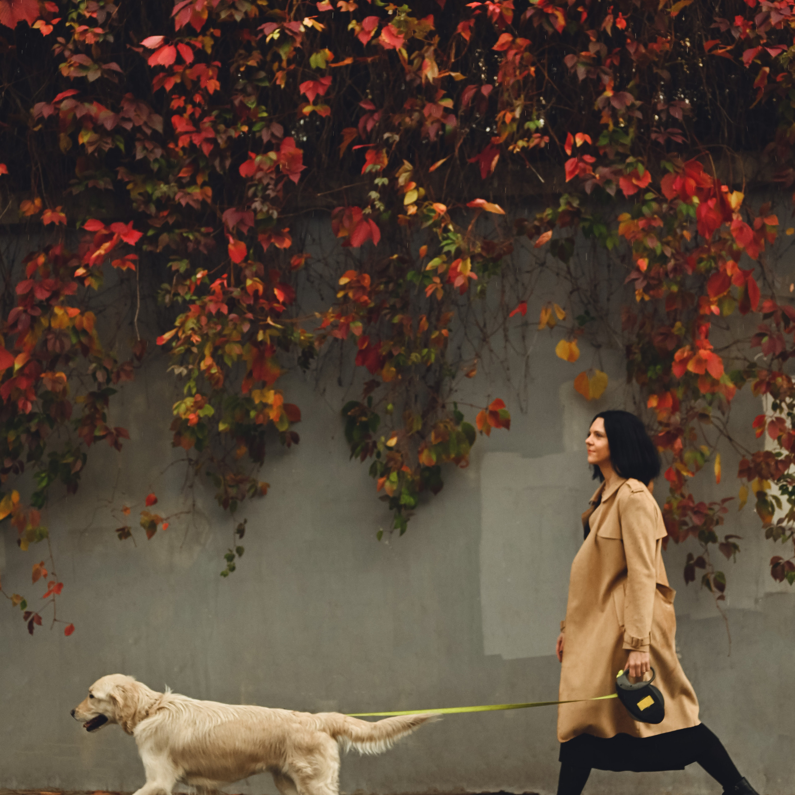 Отзывы. Фотограф Домодедово! Юлия Шаховцева