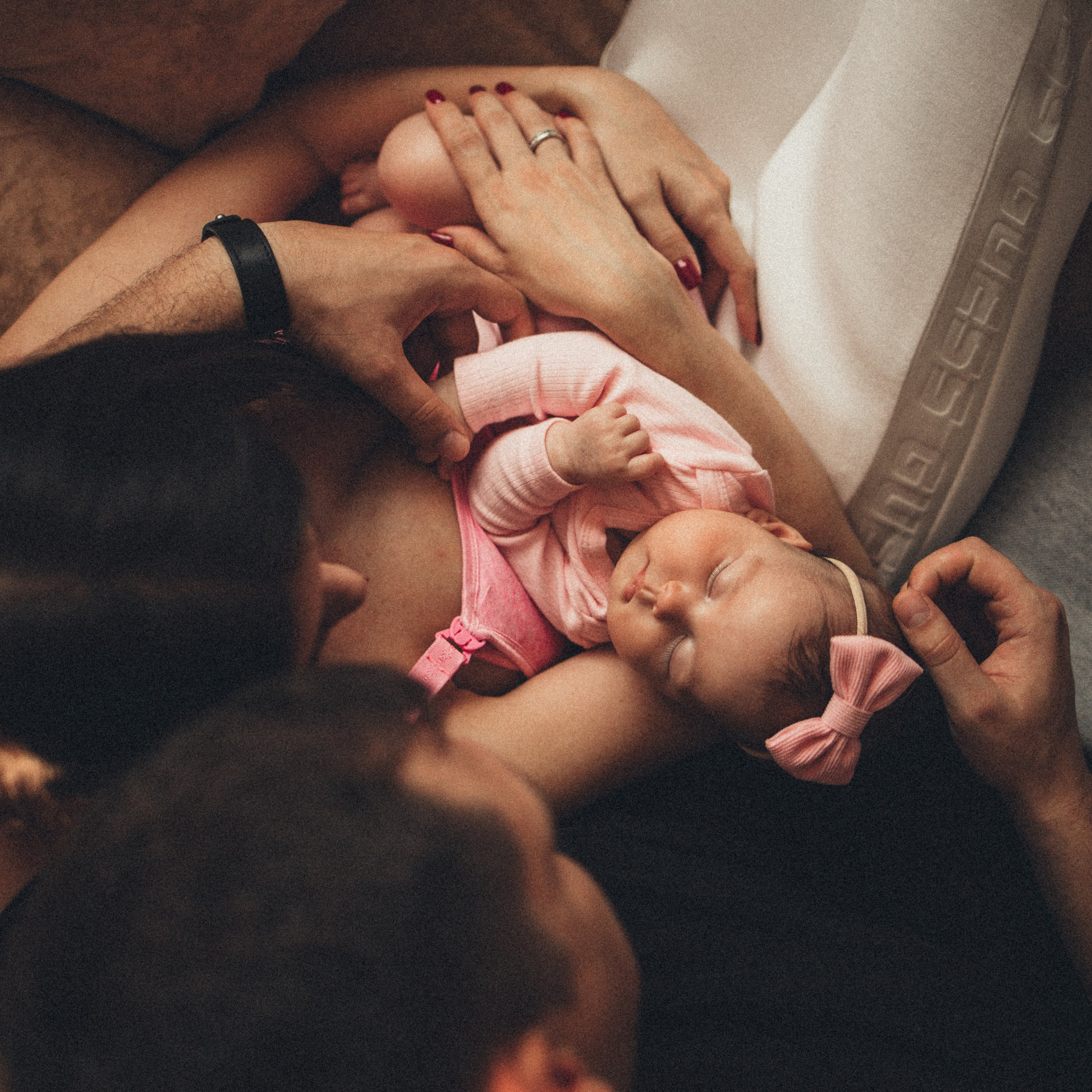 Маргаритка