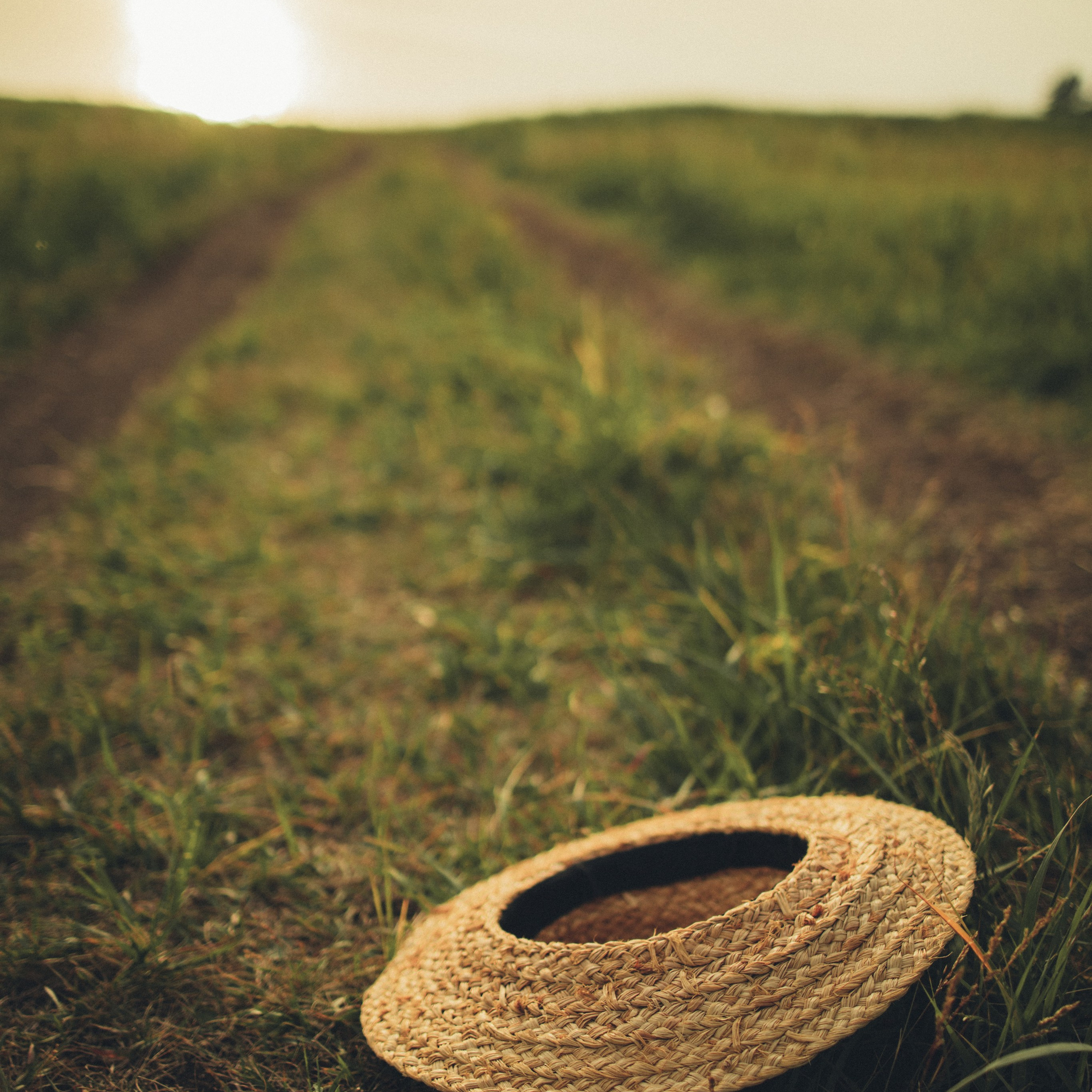 Соломенная шляпка