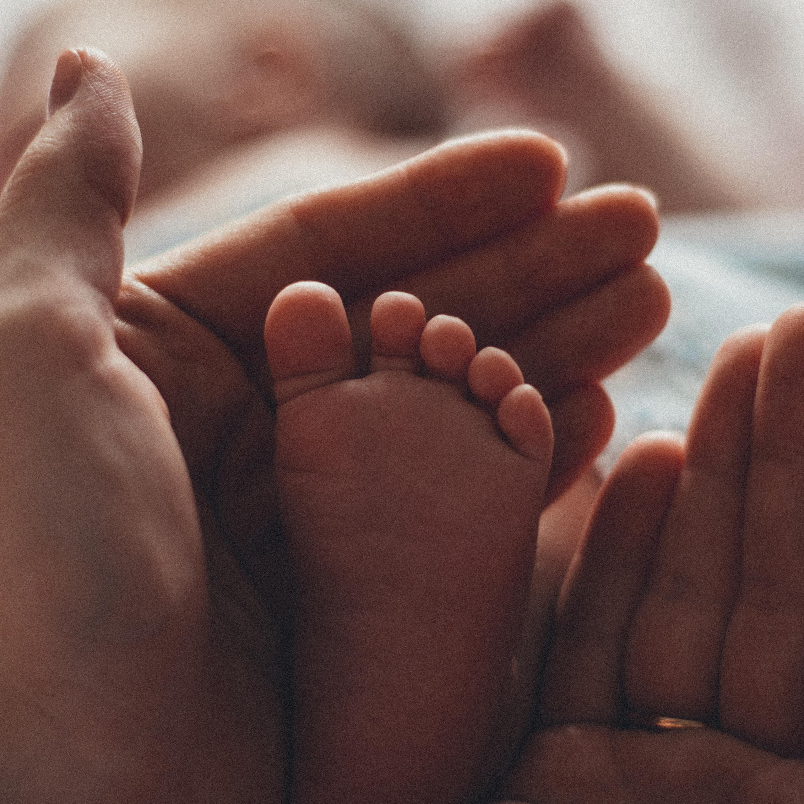 14 дней жизни