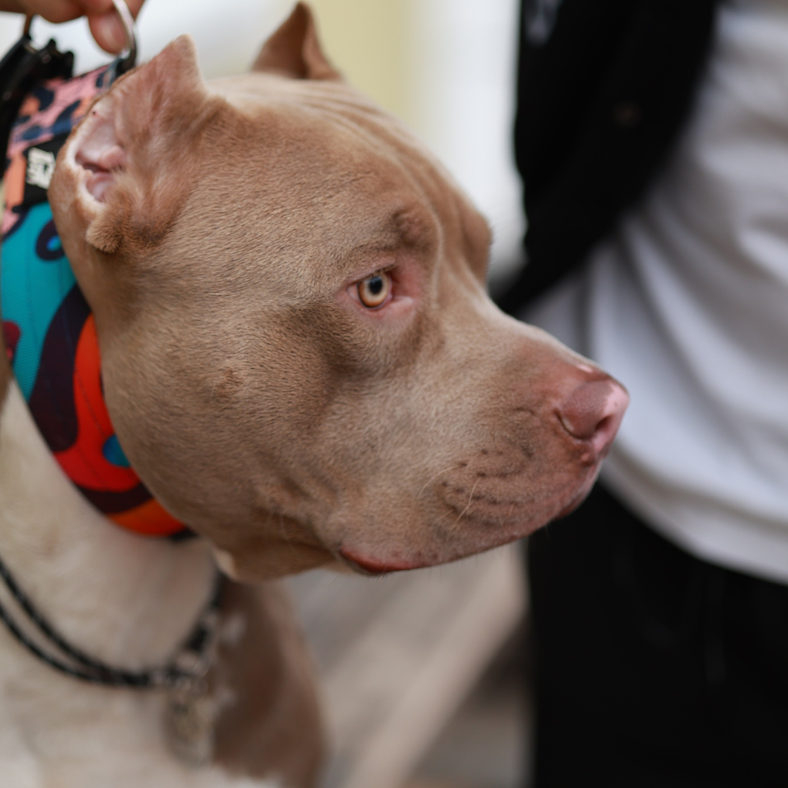 Отзывы. Портретный и свадебный фотограф в Туле